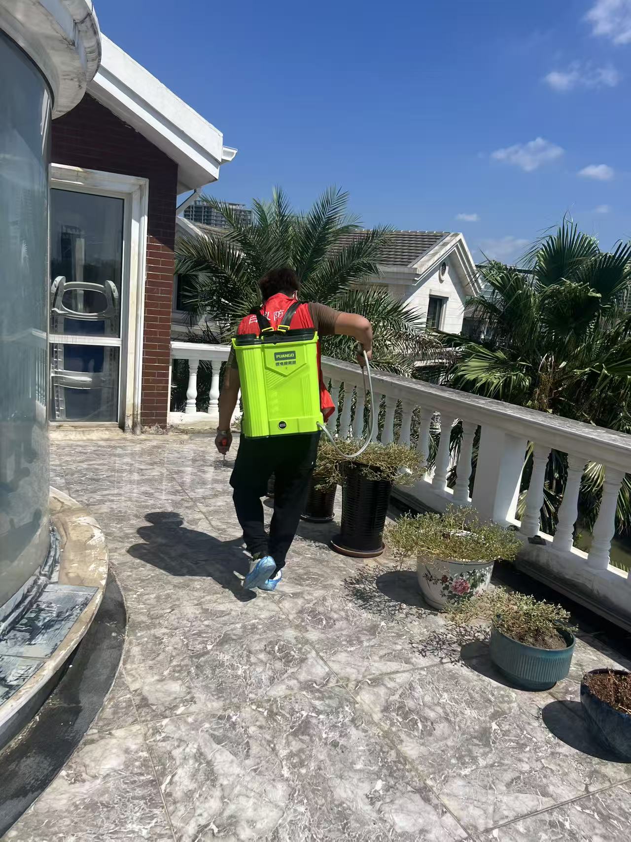 苗围白蚁防治：守护绿色家园的生态防线