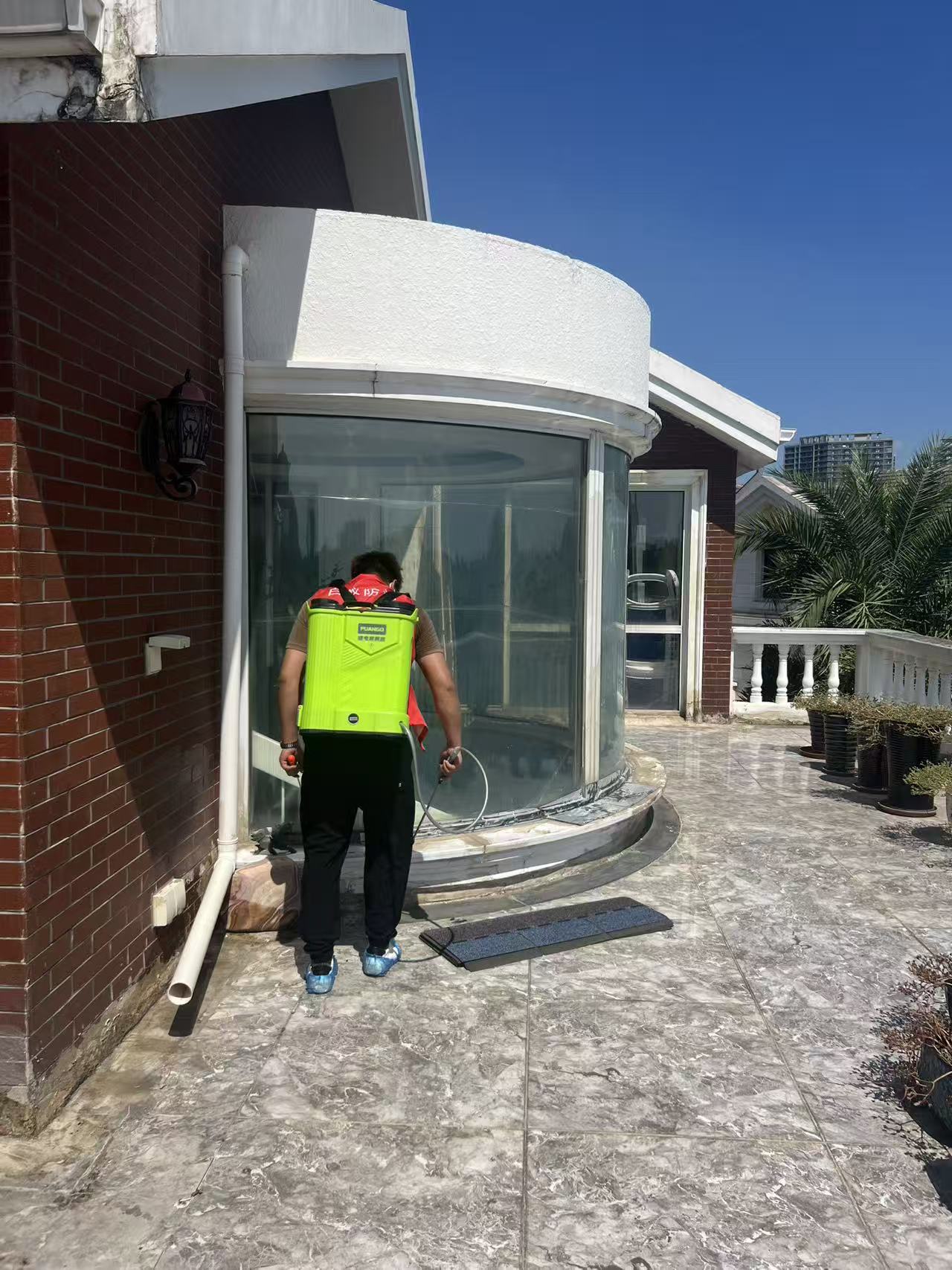 模板防不防白蚁：建筑模板的防白蚁性能解析与防护策略