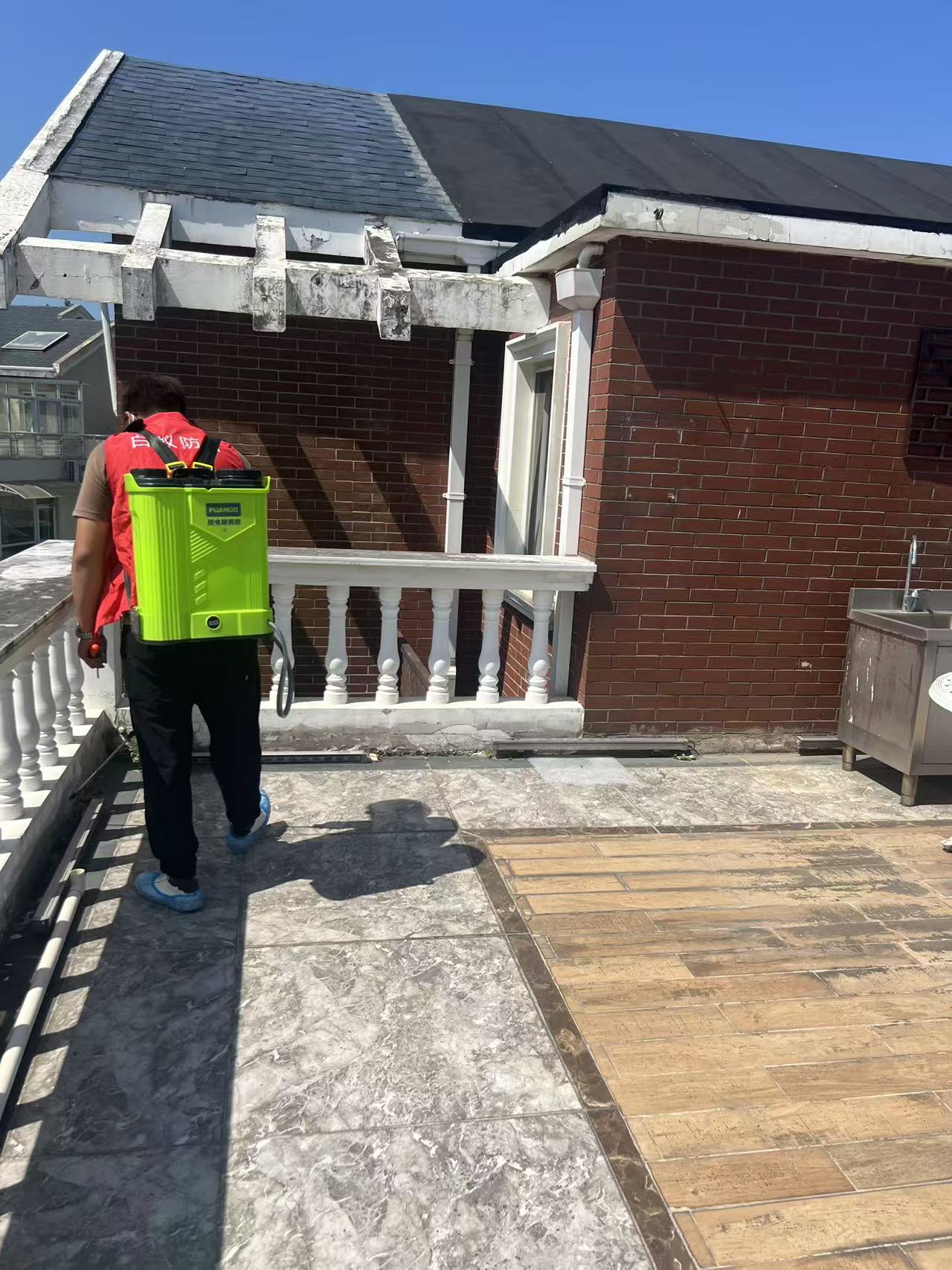 杭州市白蚁防治站：白蚁监测点有什么：揭秘白蚁监测系统的核心组件与功能