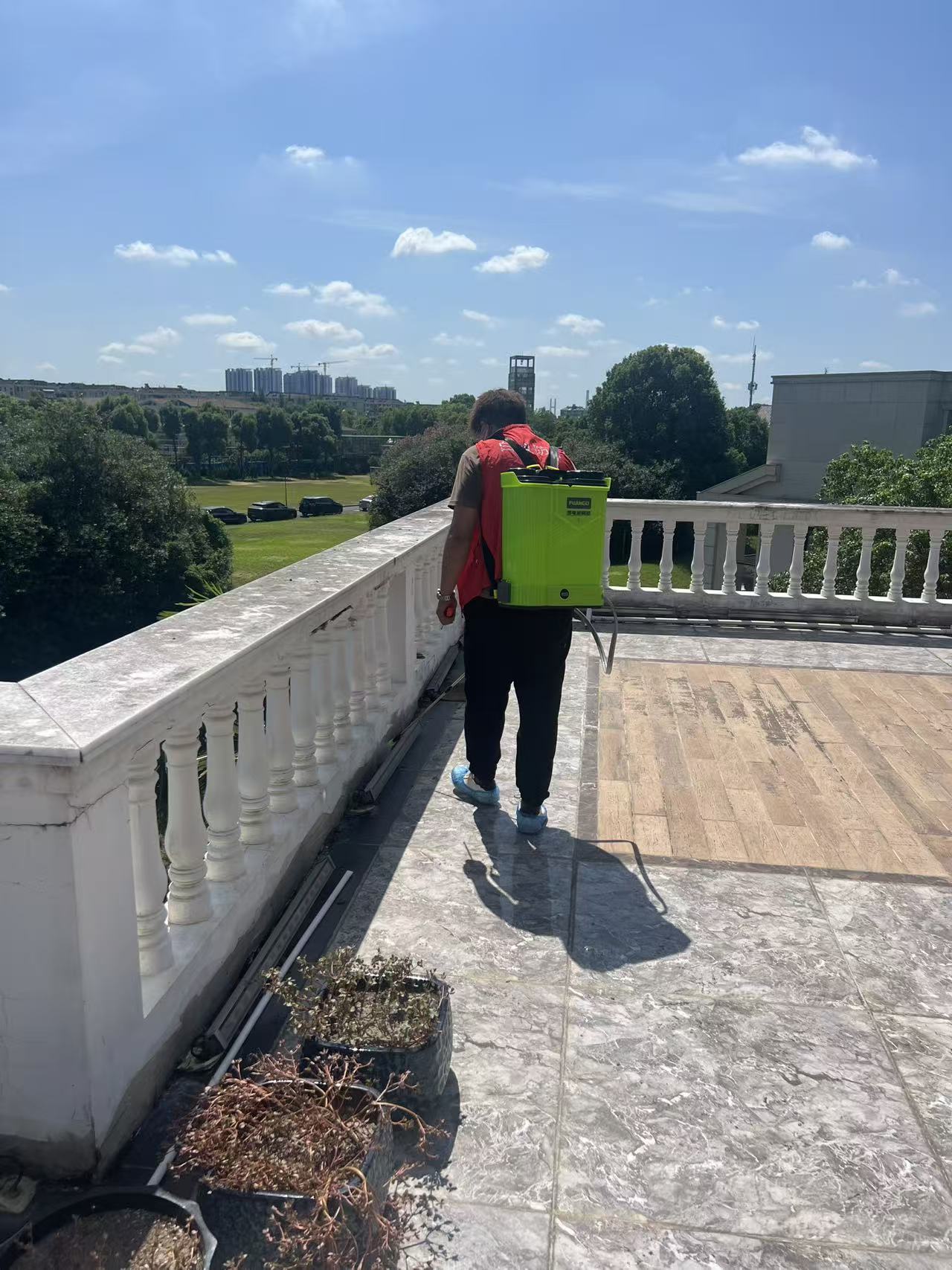 别墅灭白蚁师傅是谁呀？揭秘专业白蚁防治团队的核心力量