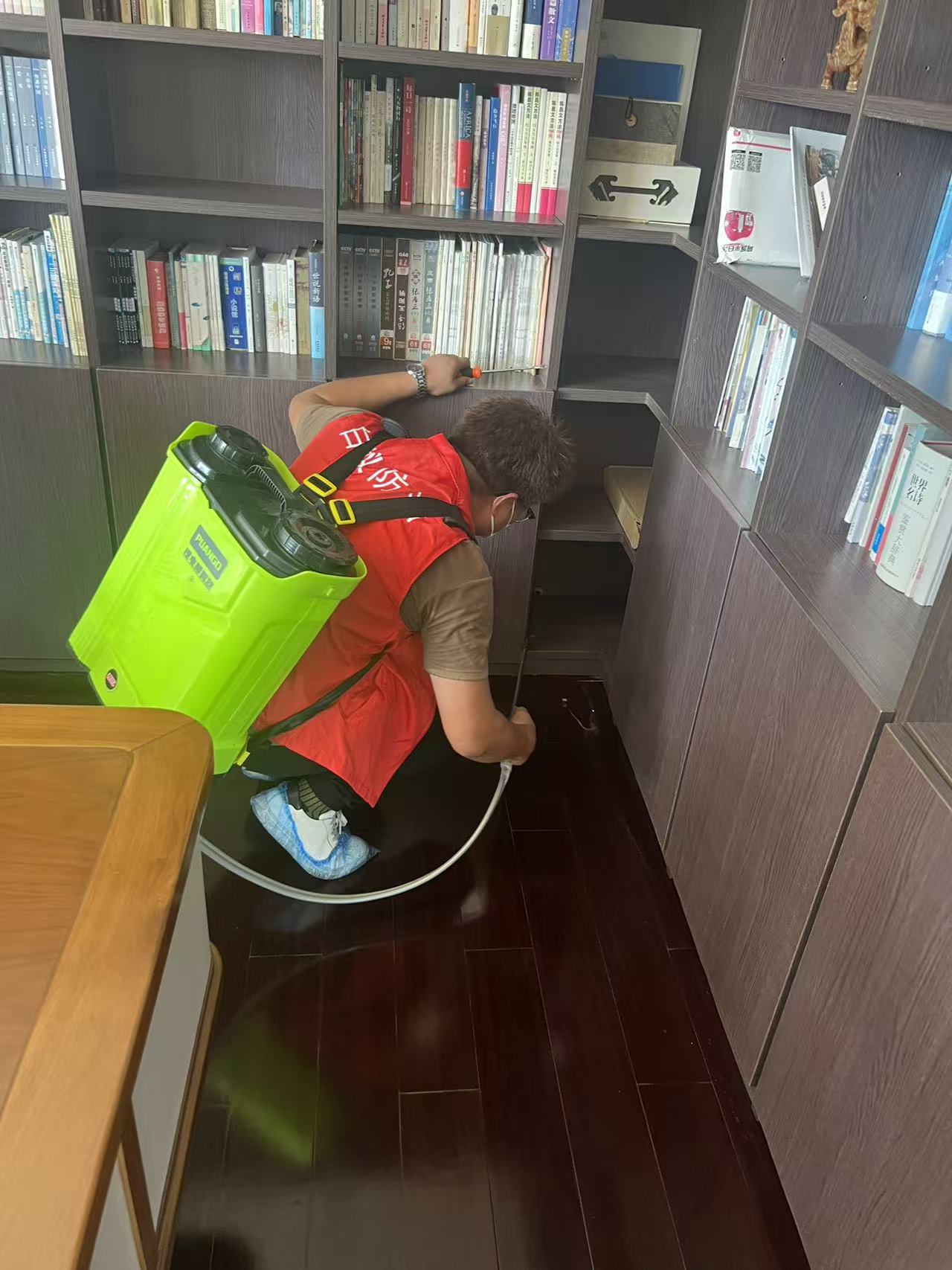 杭州市白蚁防治站：消灭白蚁最简单的办法：实用指南与预防策略