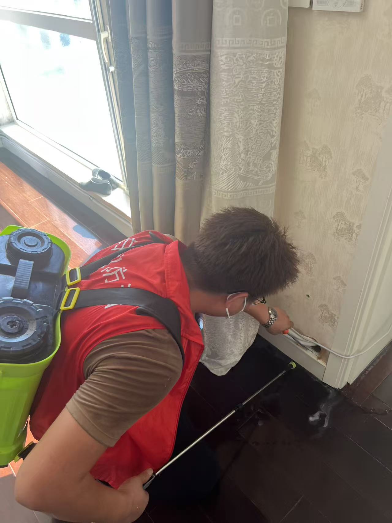 古镇小区白蚁防治方案：守护历史建筑与现代生活的和谐共生