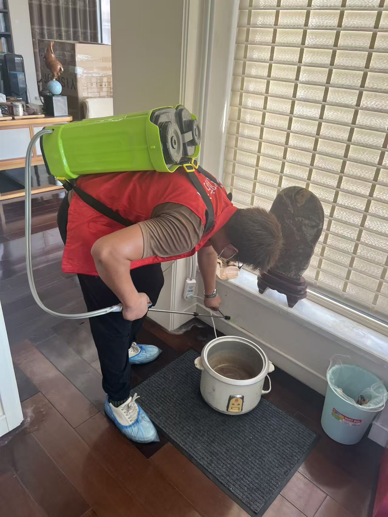 杭州市白蚁防治站：白蚁是蟑螂吗专家解析：揭开白蚁与蟑螂的隐秘关系