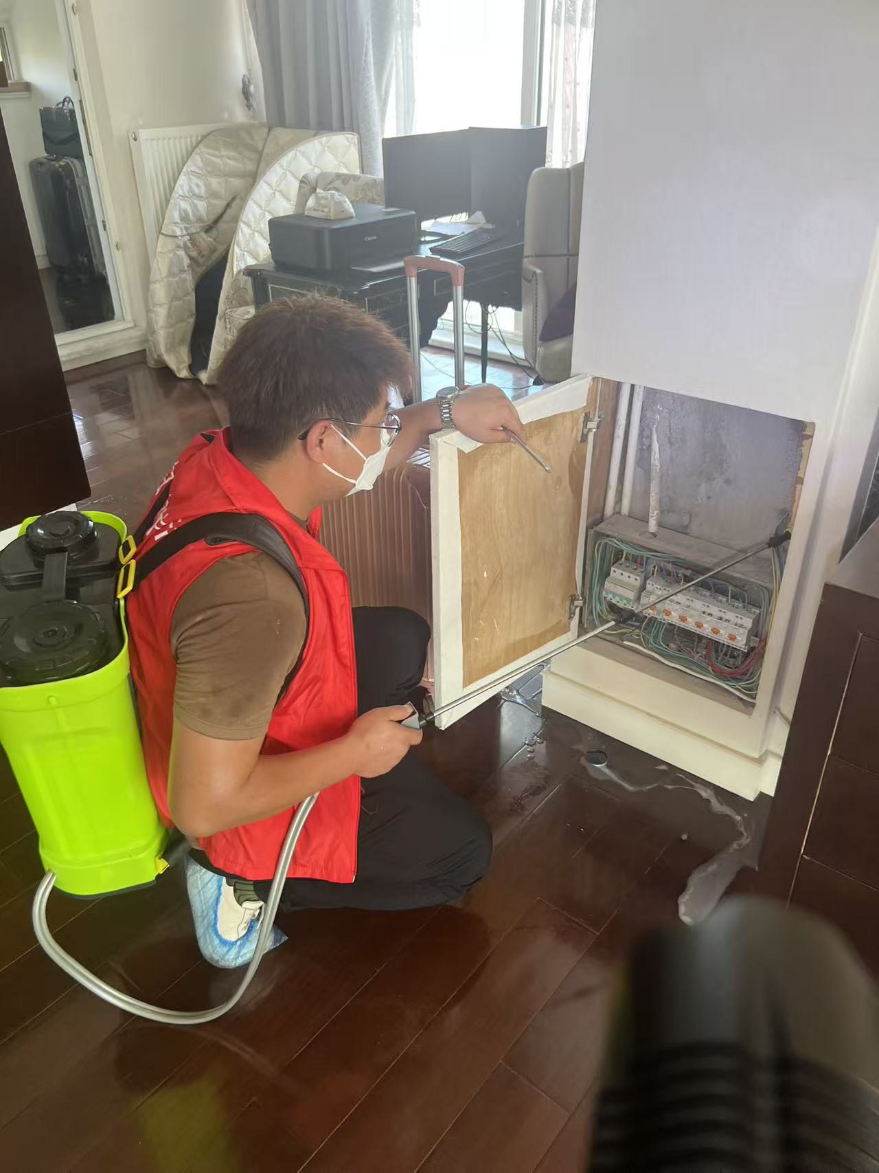 杭州市白蚁防治站：常见的白蚁品种有哪些？全面解析白蚁种类与特性