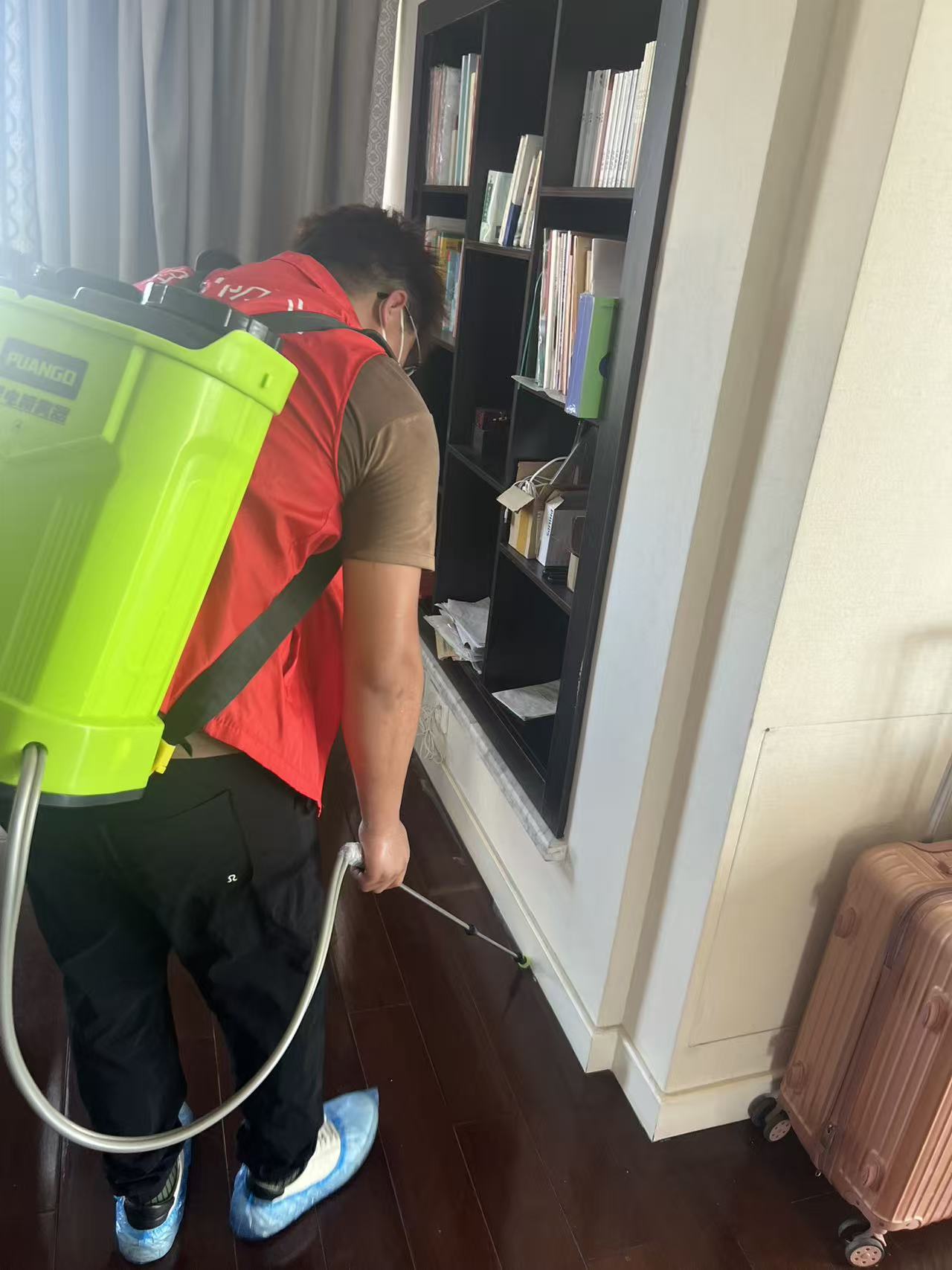 白蚁都住在哪里？揭秘这些隐秘巢穴的生存智慧