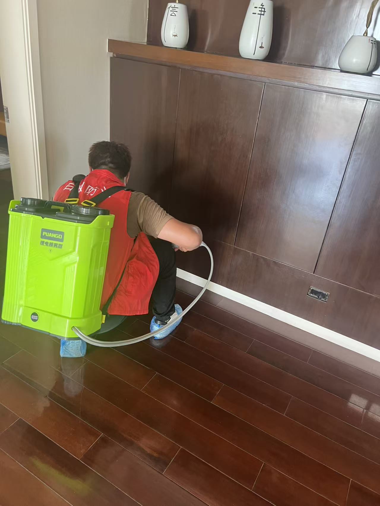 杭州市白蚁防治站：德昌县灭白蚁哪家正规？专业防治指南助您安心选择