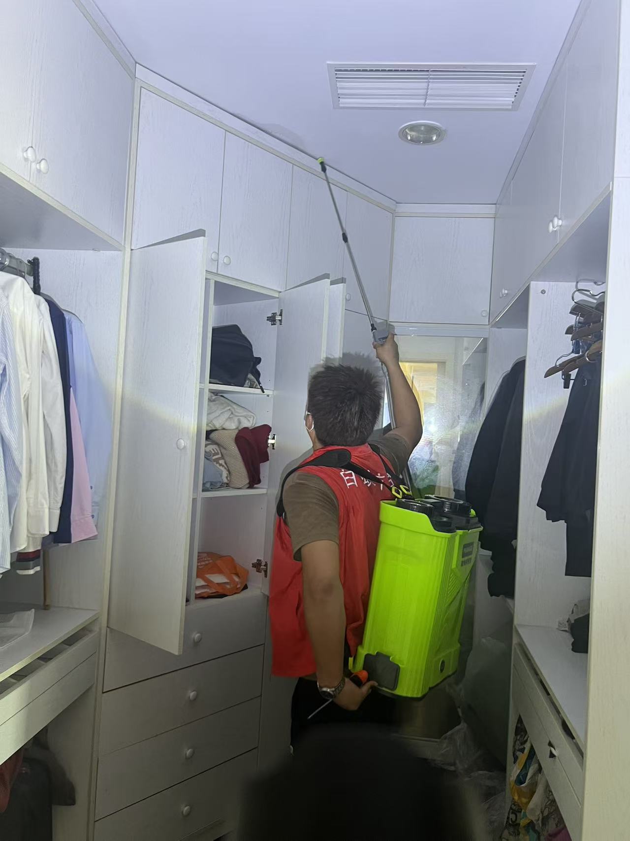 杭州市白蚁防治站：毒饵诱杀白蚁违法吗？深入解析白蚁防治的法律边界