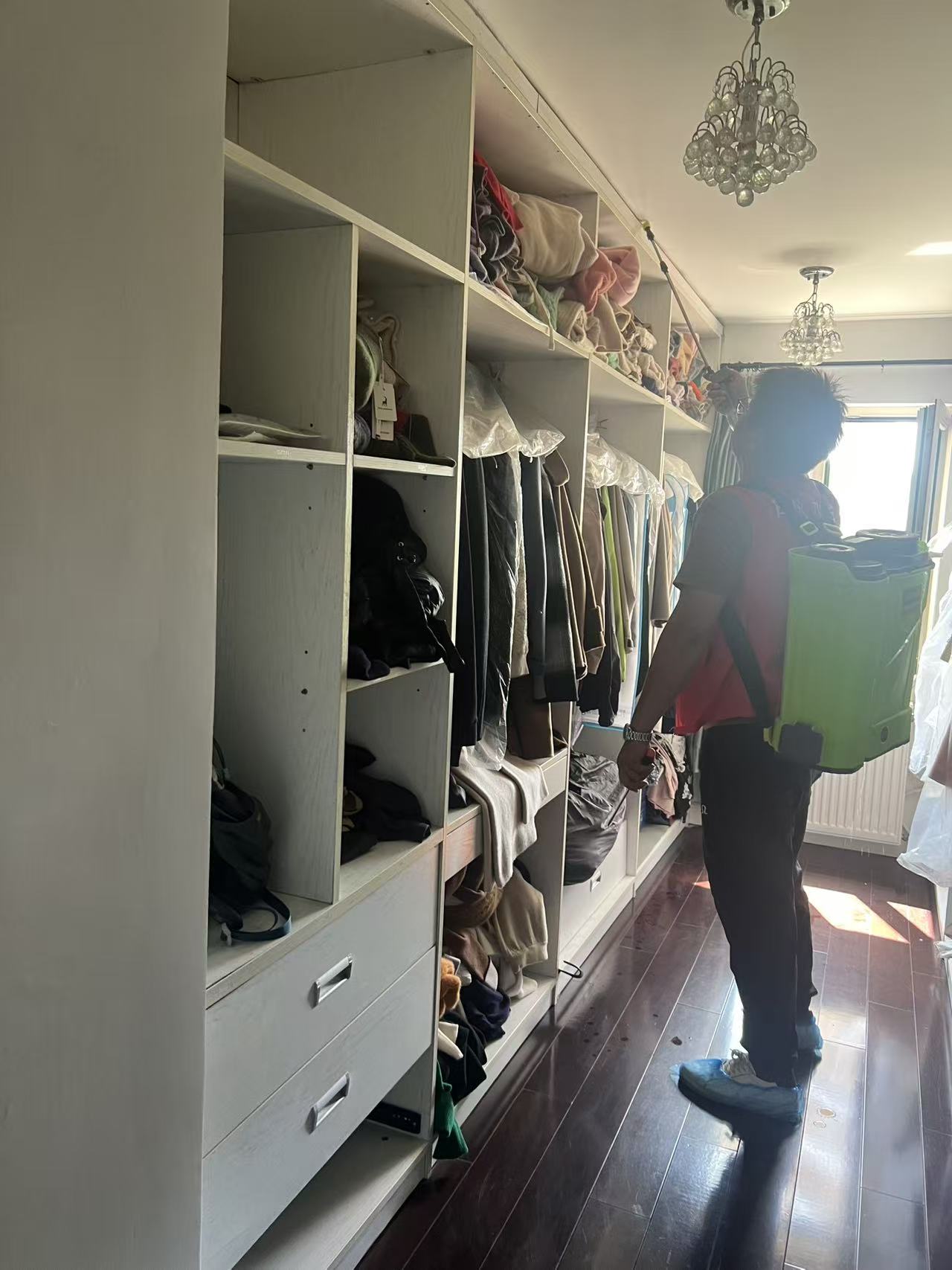 龙江白蚁预防哪家好？专业防治指南助您安心居住