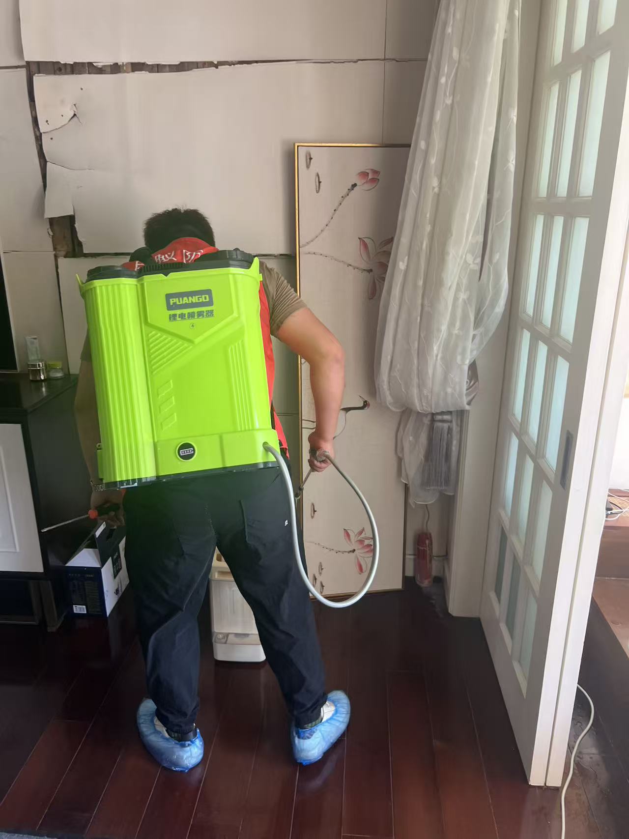 怎么灭白蚁用什么药：全面指南助您有效防治白蚁