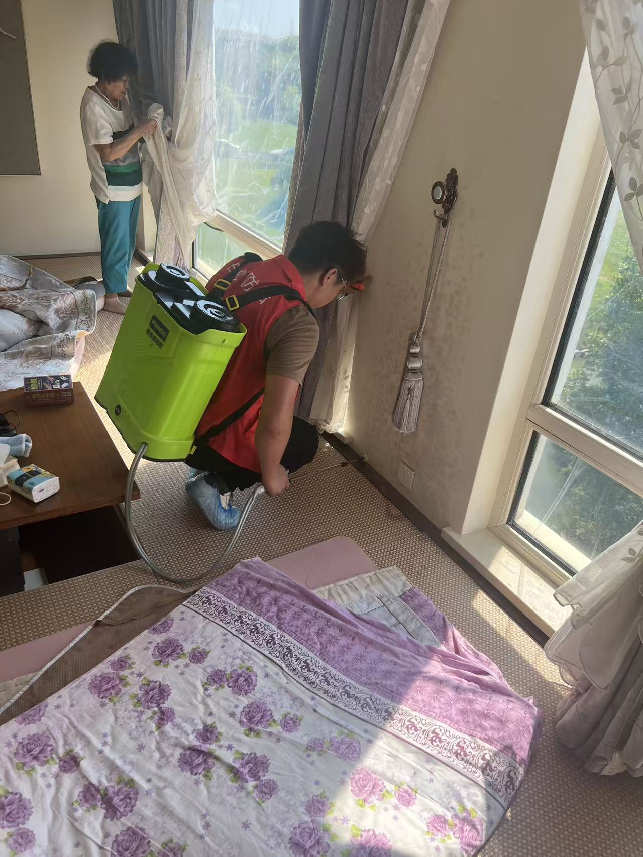 杀白蚁的全过程：从发现到彻底清除的详细指南