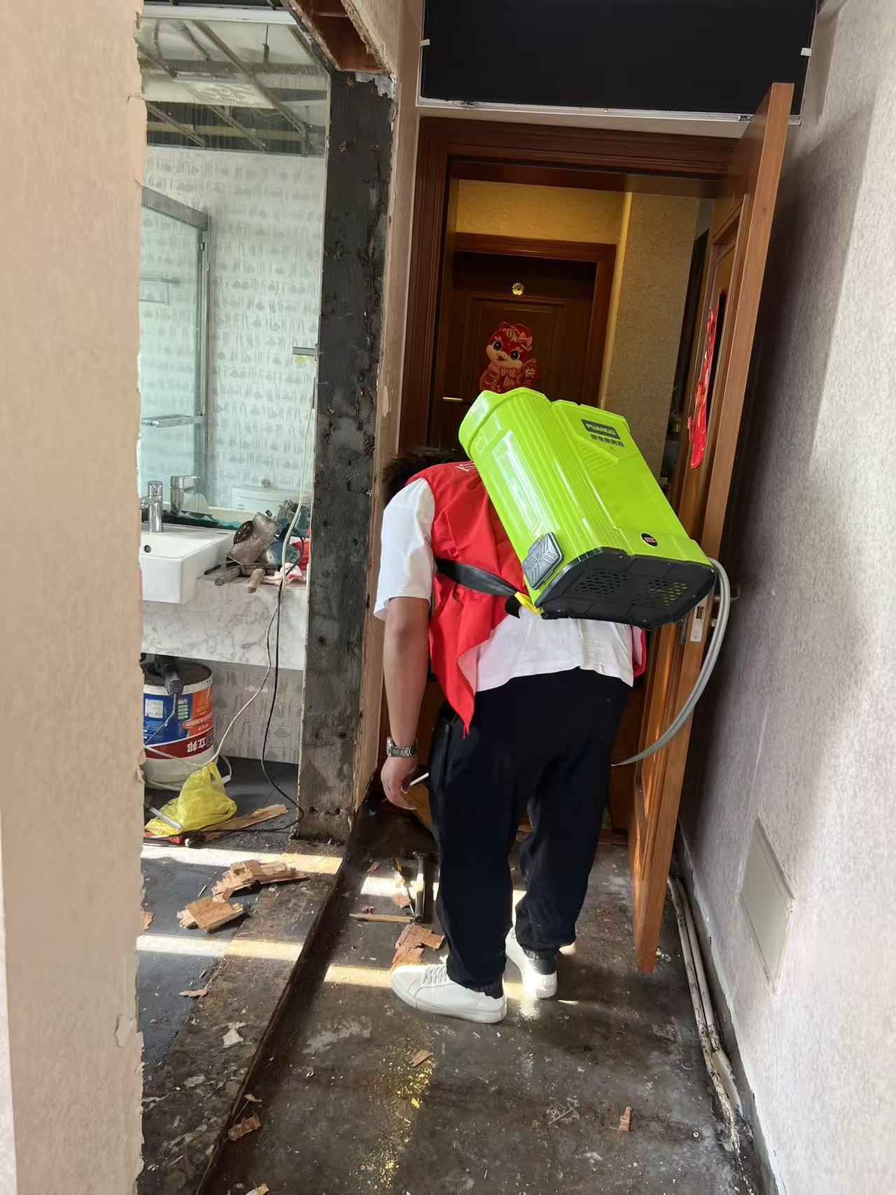 模板防不防白蚁：建筑模板的防白蚁性能解析与防护策略