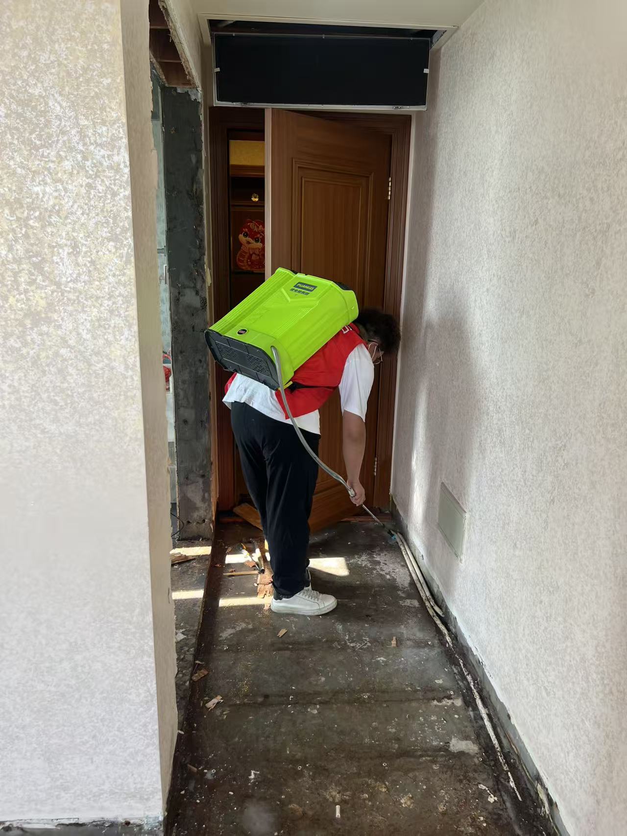 杭州市白蚁防治站：消灭白蚁案例：从发现到根除的实战经验分享