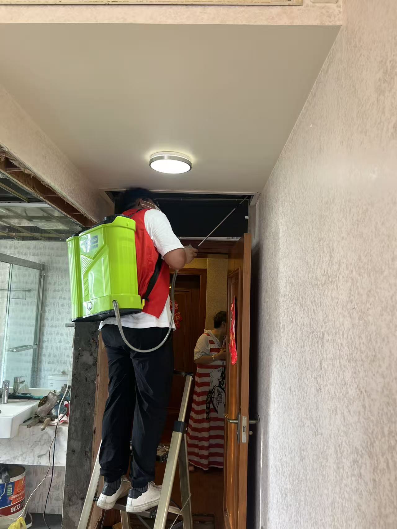 白蚁防治所收费标准国家政策解析与实施指南