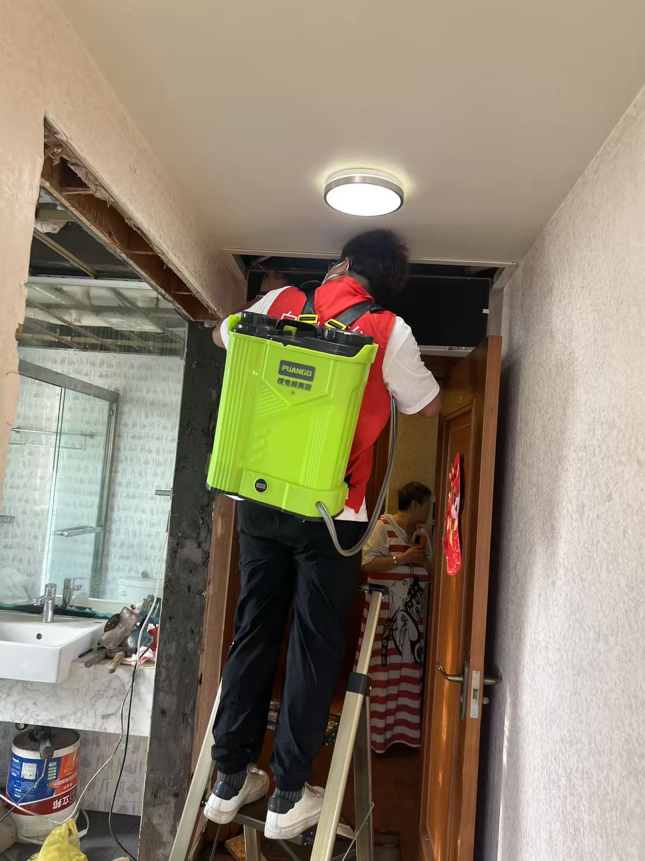 与白蚁亲密接触：一场微观世界的奇妙探险