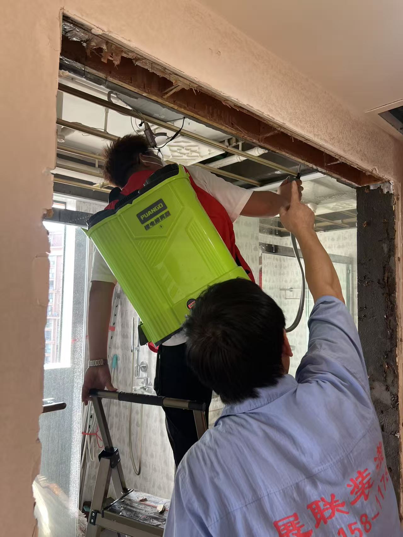 杭州市白蚁防治站：高楼大厦白蚁防治方法：守护现代建筑的隐形防线