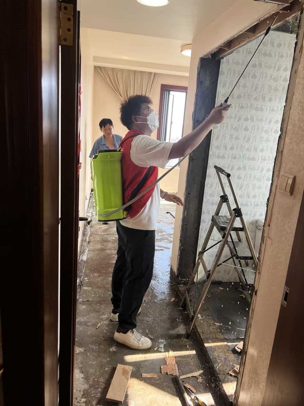 白蚁防治建议书：全面策略与实用指南