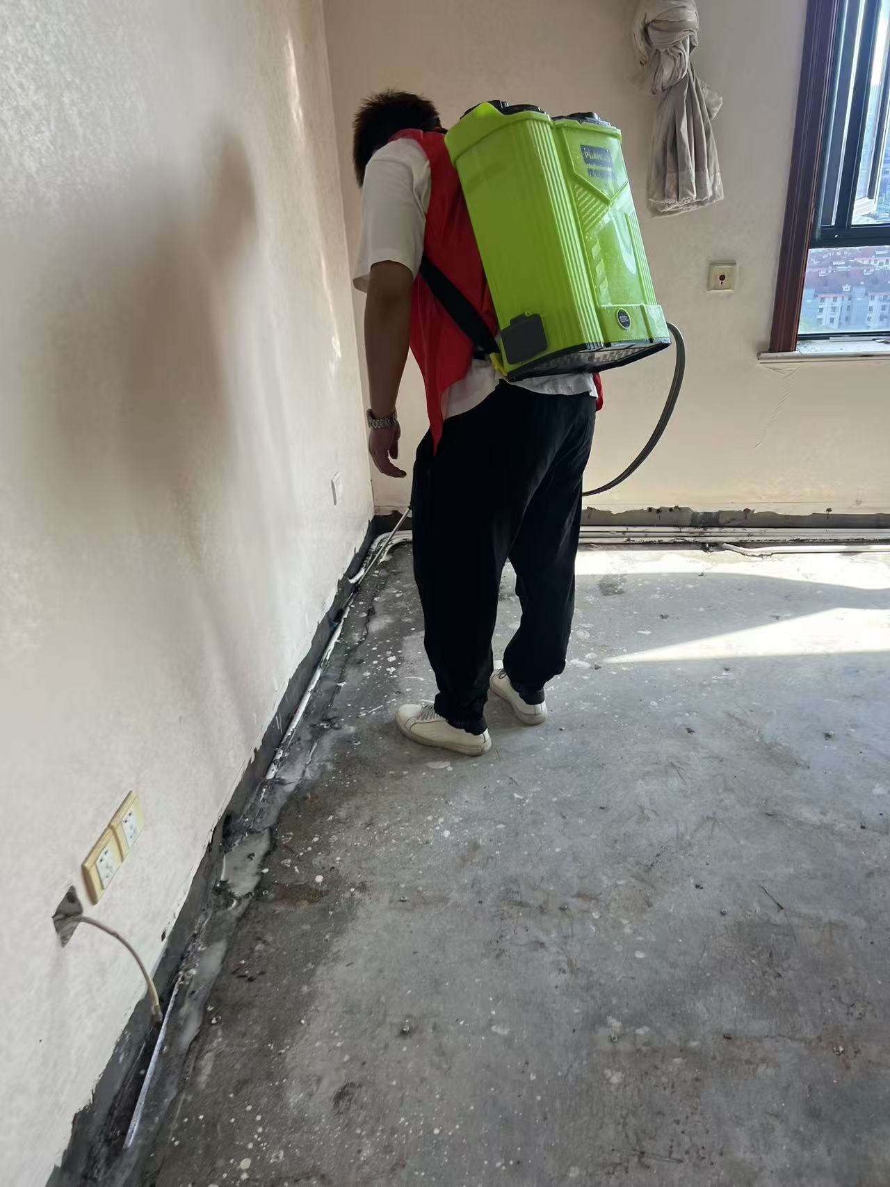 喀什有没有白蚁？深入探究喀什地区的白蚁问题