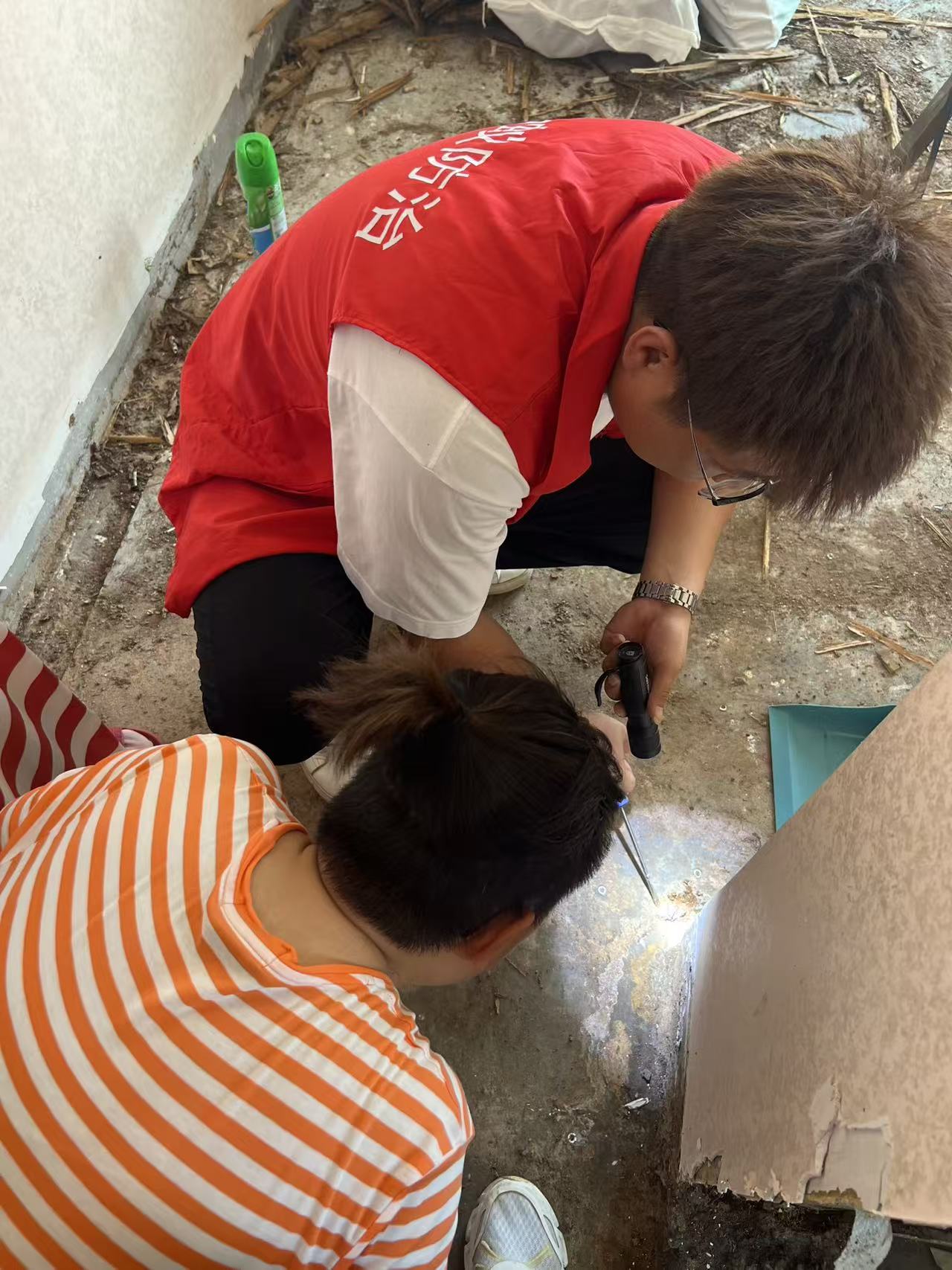 坑梓白蚁灭治价格指南：如何有效控制白蚁并合理预算