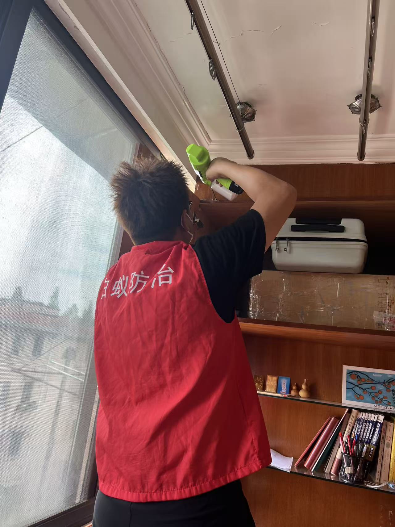 杭州市白蚁防治站：揭秘除白蚁药水成分：科学配方与安全使用指南