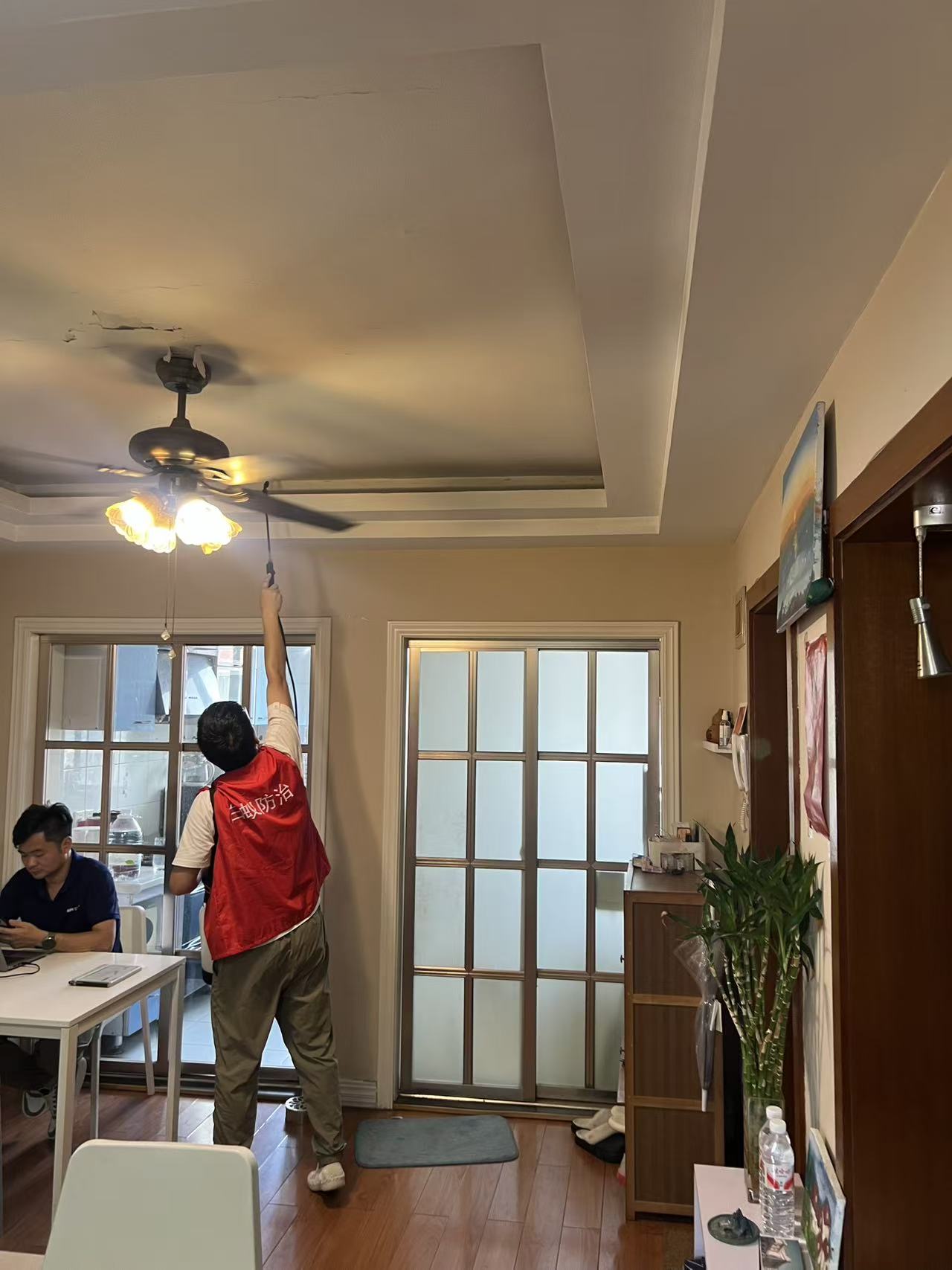 凤凰古城房子白蚁事件：历史瑰宝的隐秘危机