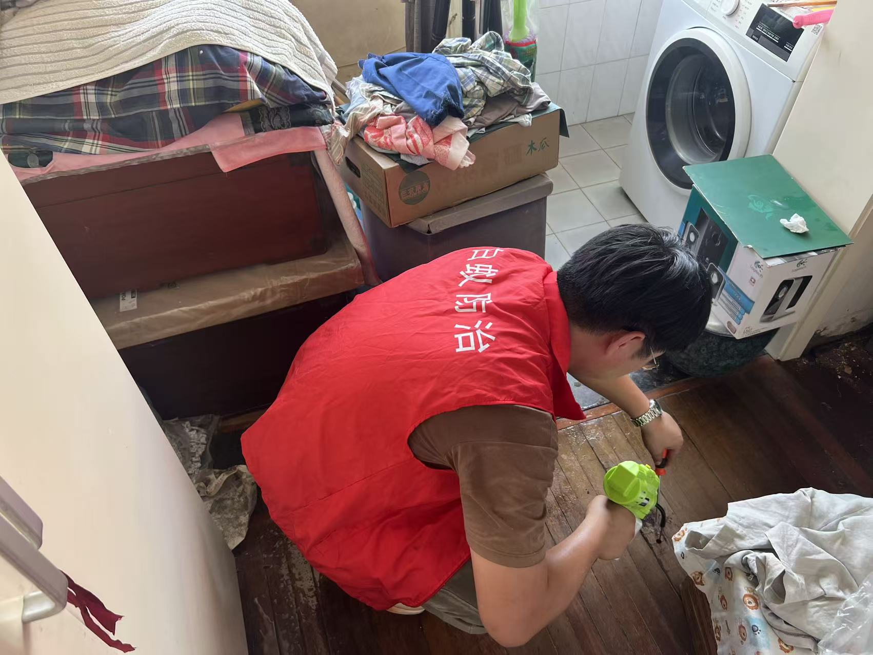 杭州市白蚁防治站：白蚁幼虫多久孵化卵：揭秘白蚁生命周期中的关键阶段