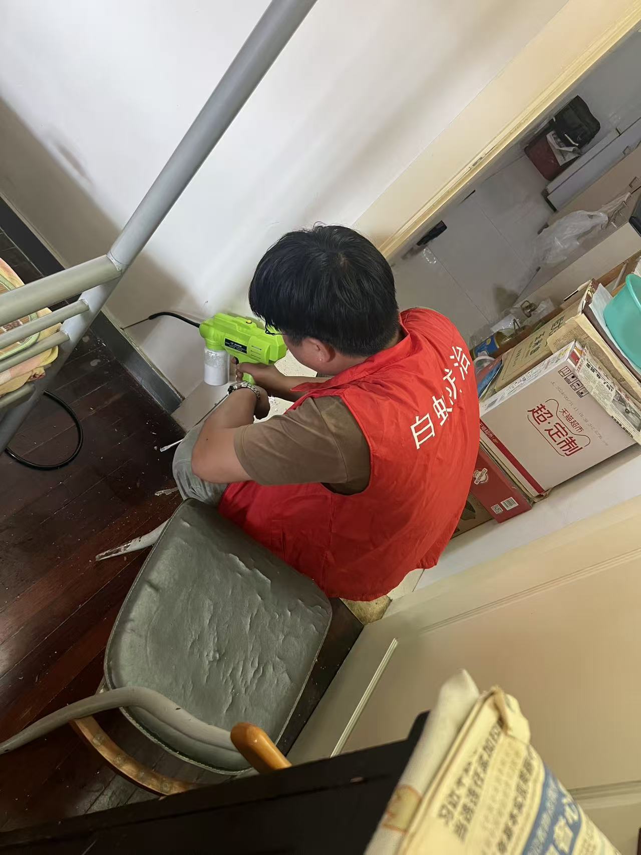 杭州市白蚁防治站：白蚁能不能钻到车里？揭秘白蚁入侵车辆的真相与防范