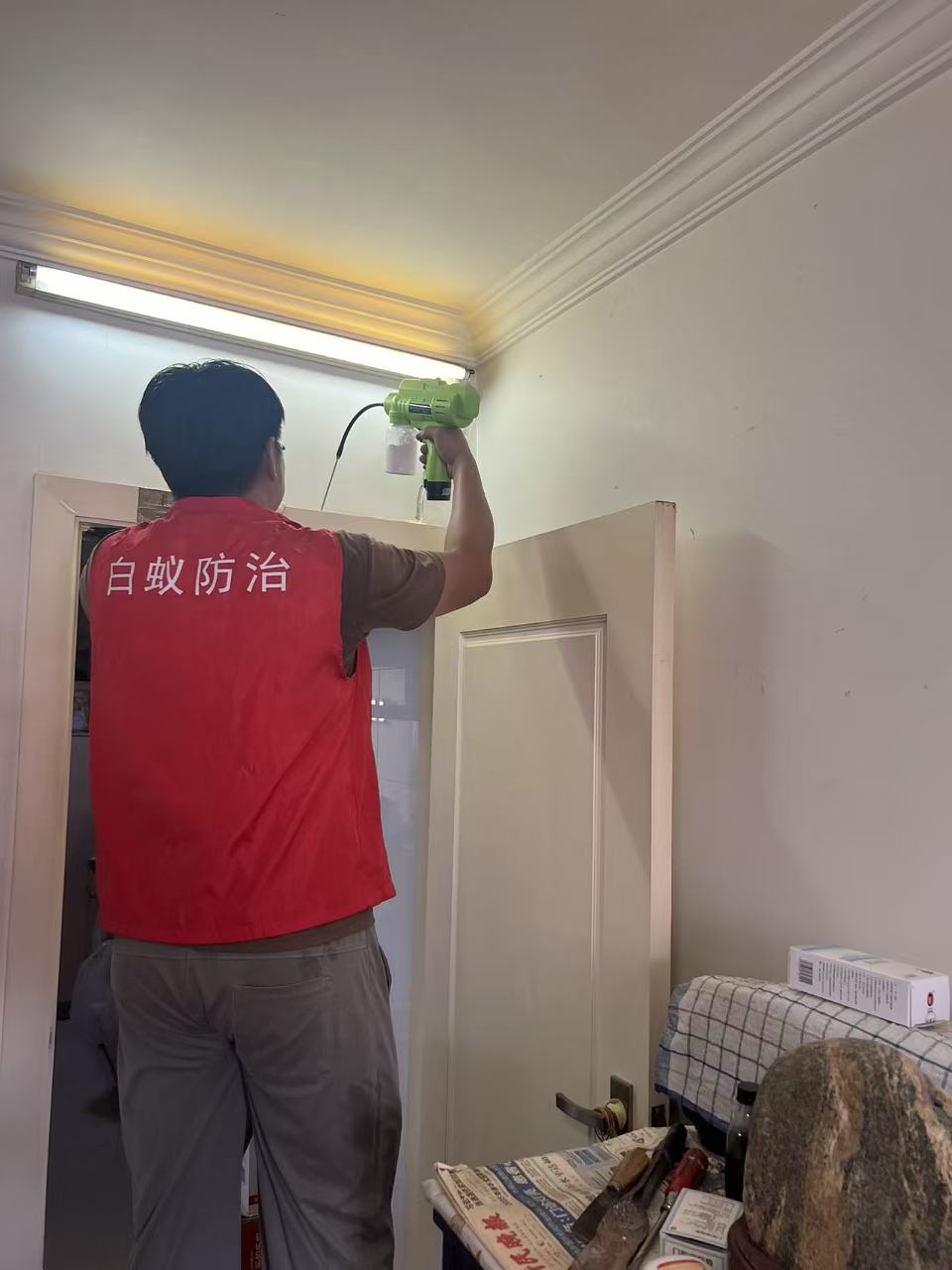 杭州市白蚁防治站：房间突然进白蚁：一场突如其来的家居危机与应对指南