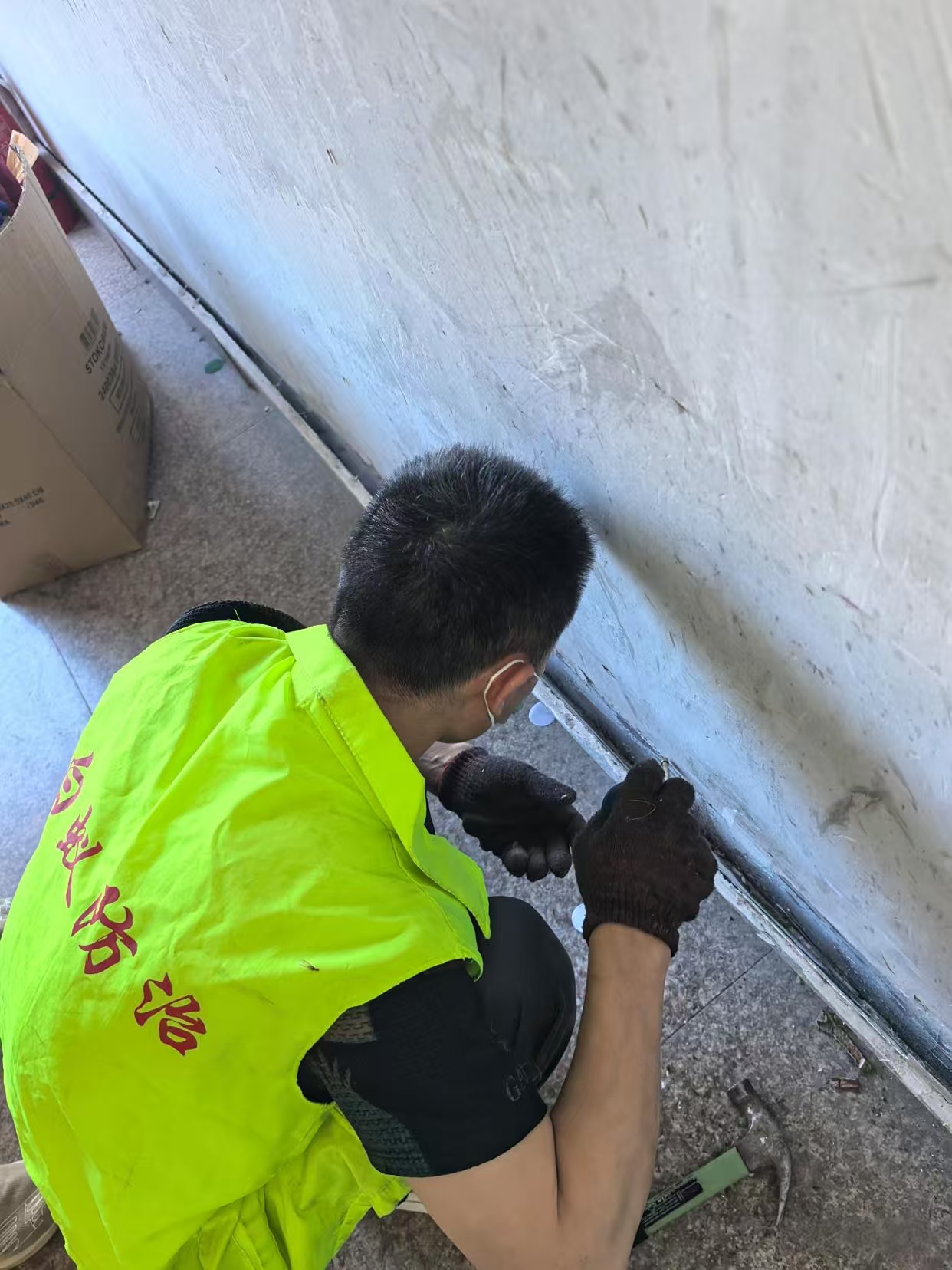 杭州市白蚁防治站：防白蚁用木炭好吗？探索木炭在防白蚁中的实际效果与科学依据