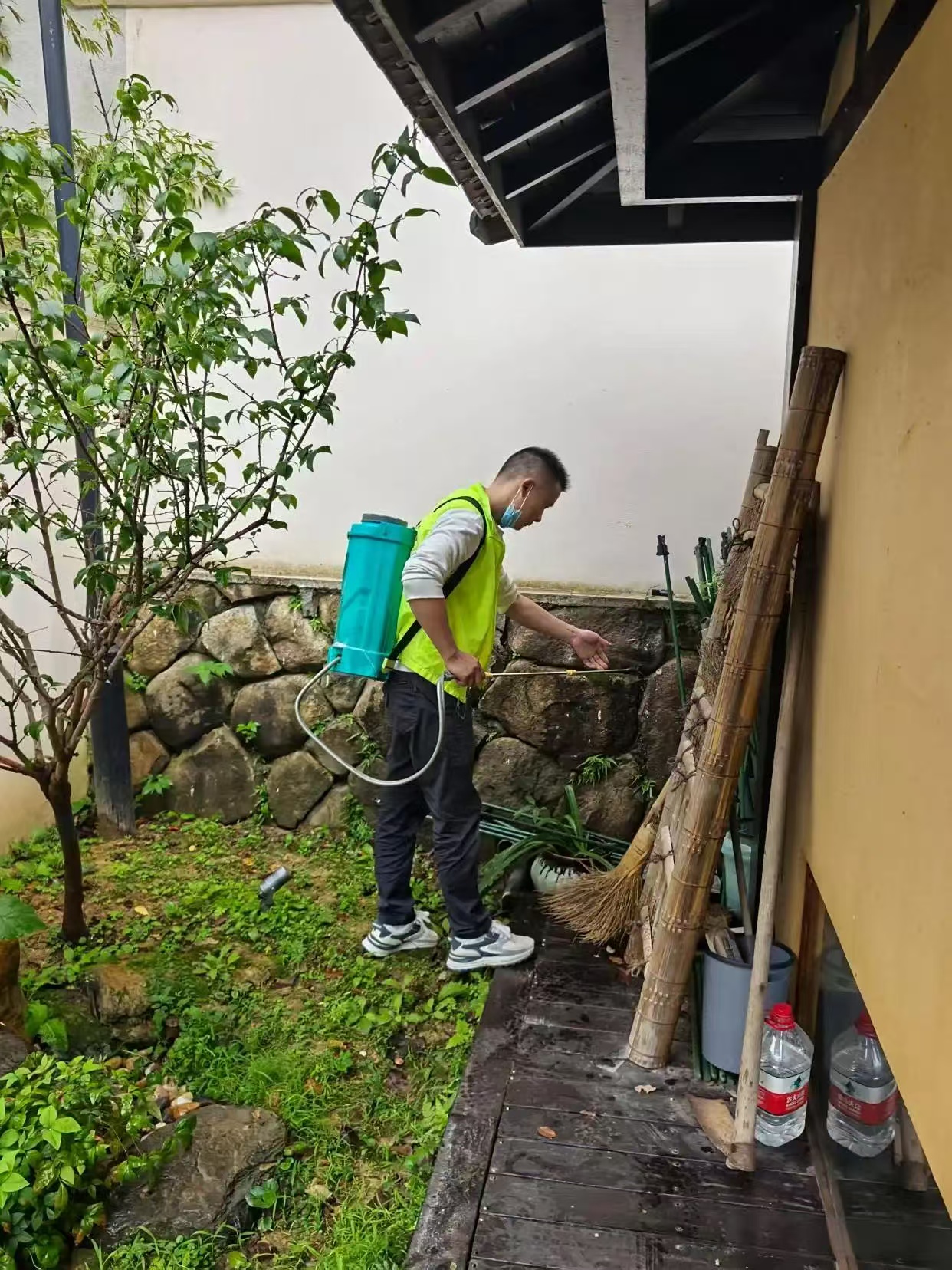 高科技找白蚁窝：现代科技如何精准定位白蚁巢穴