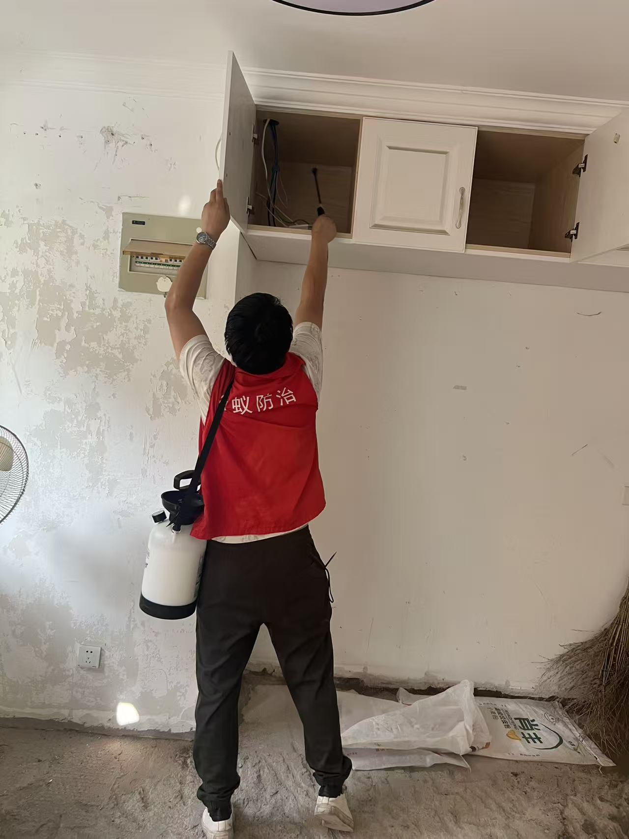 白蚁为什么吃皮具：揭秘家居害虫的隐秘食性