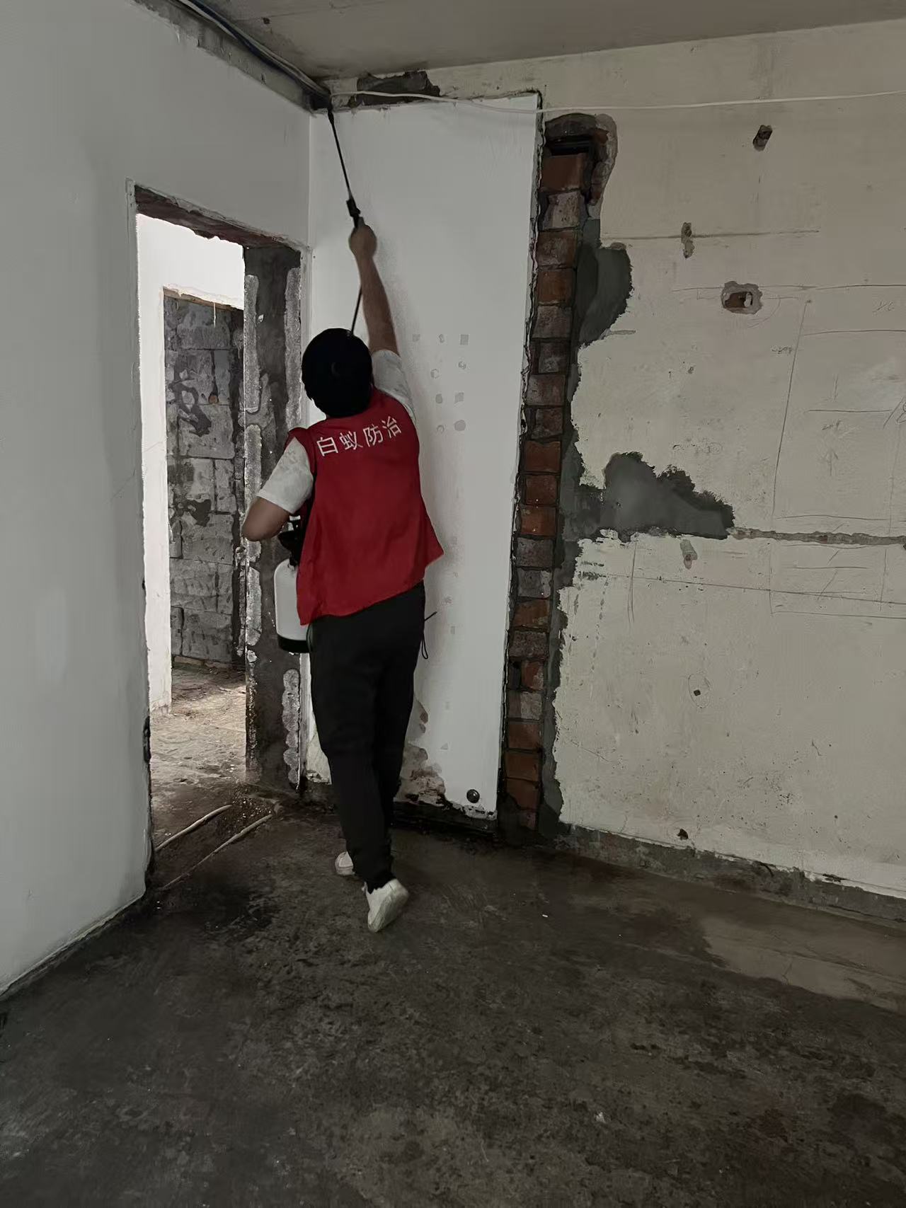 白蚁防治所收费标准国家政策解析与实施指南