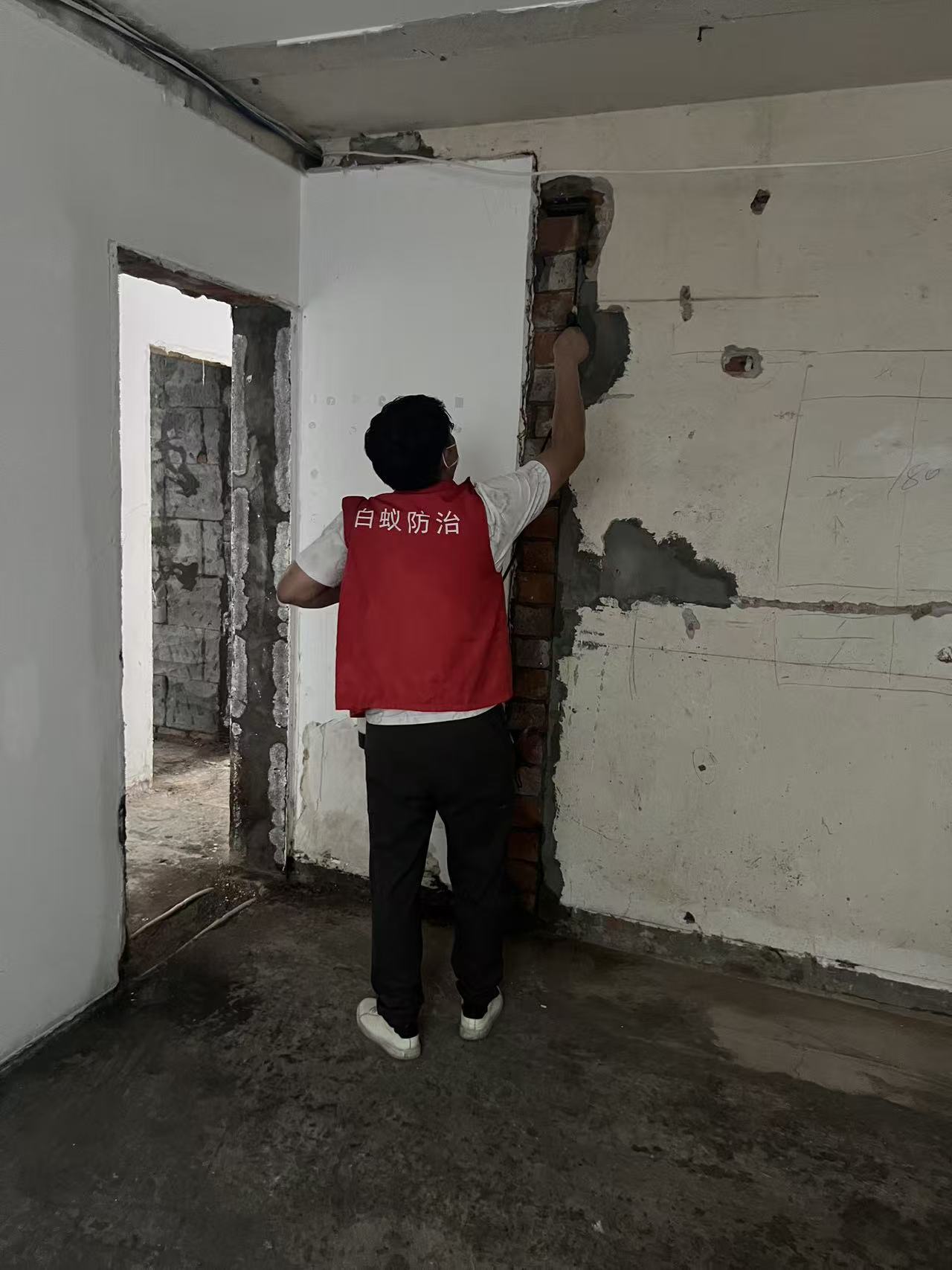 杭州市白蚁防治站：新房装修的白蚁防治：守护家居安全的必备指南