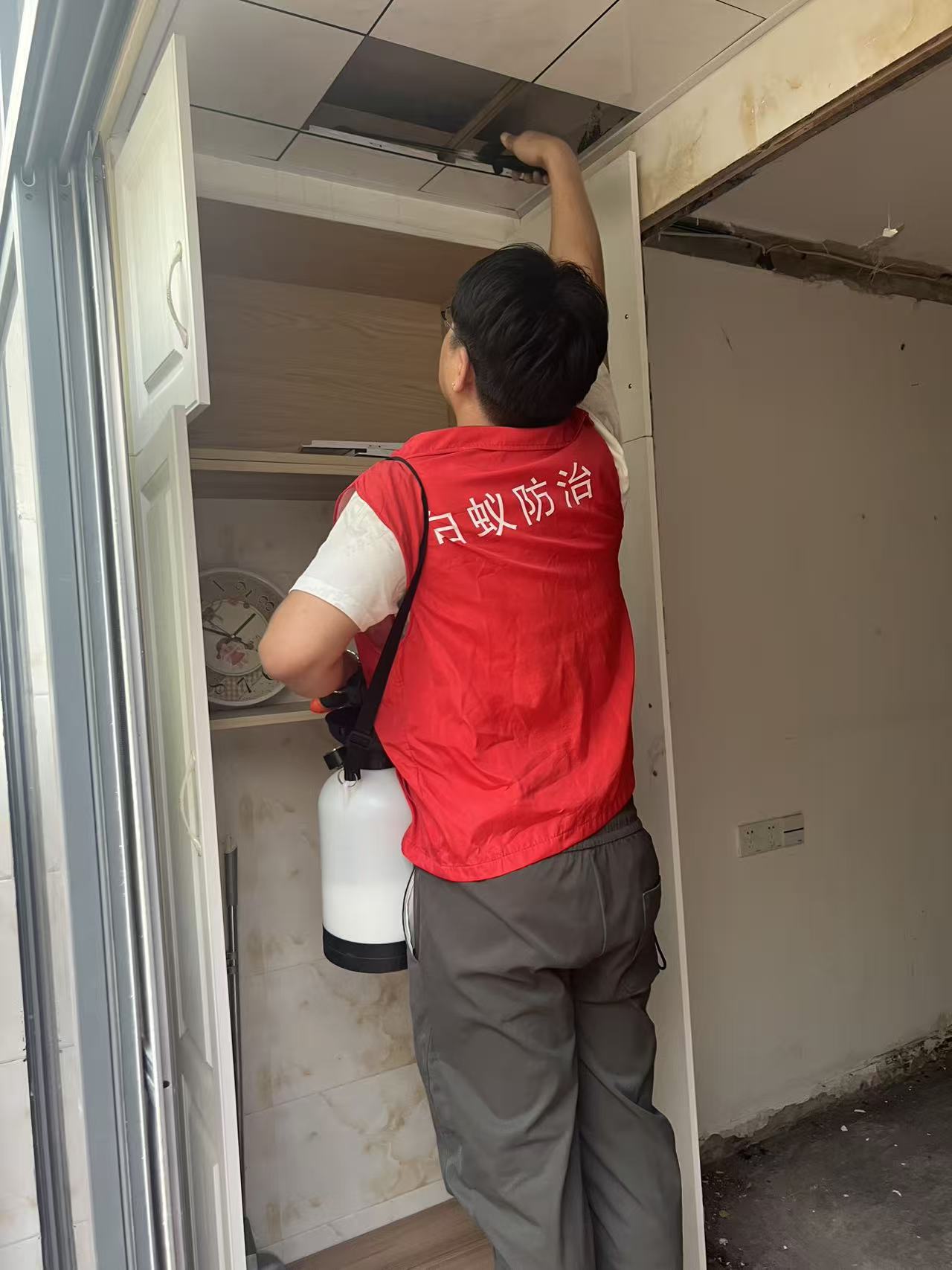 杭州市白蚁防治站：刷光漆防白蚁吗？全面解析光漆对白蚁的防护效果