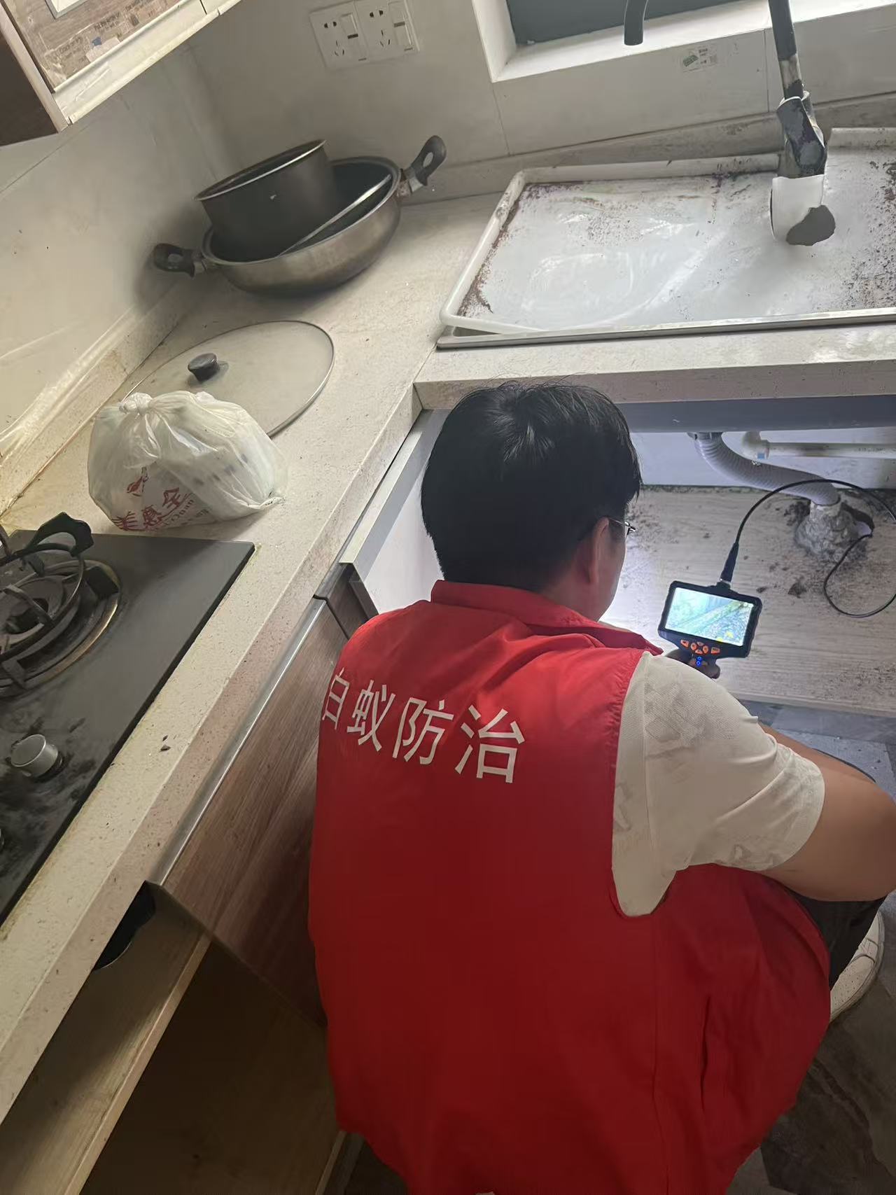 罗东镇灭白蚁：守护家园的绿色战役