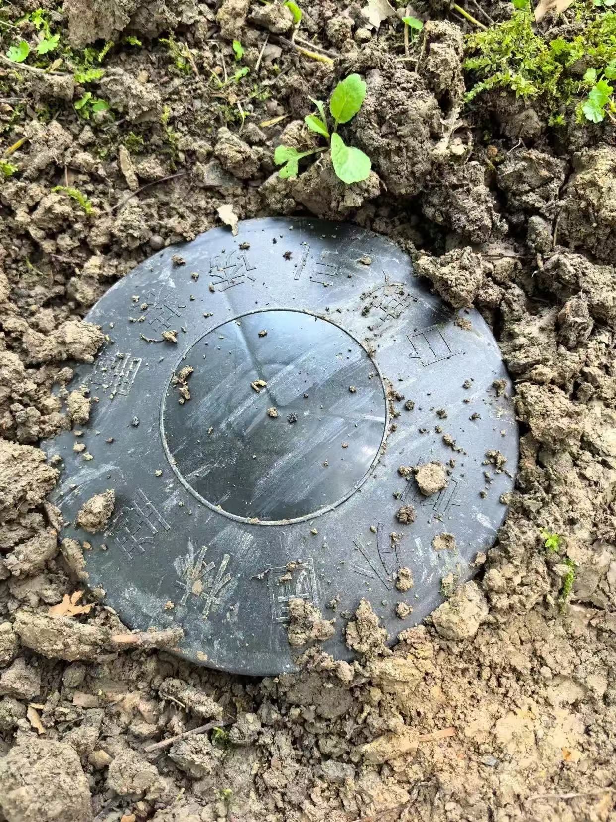 石湾家庭白蚁防治价格指南：如何选择性价比高的服务？