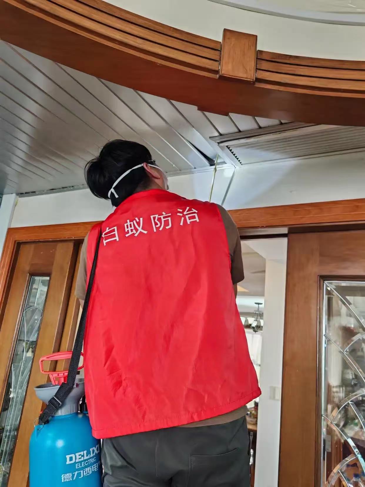 杭州市白蚁防治站：现代花园的房子有白蚁：识别、防治与长期维护指南