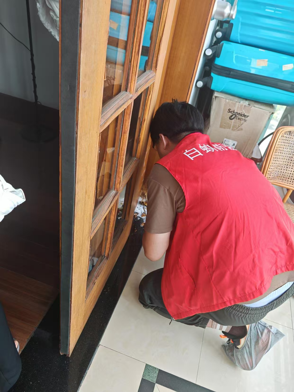 杭州市白蚁防治站：厕所里有小白蚁：家居小虫大隐患的深度解析与应对指南