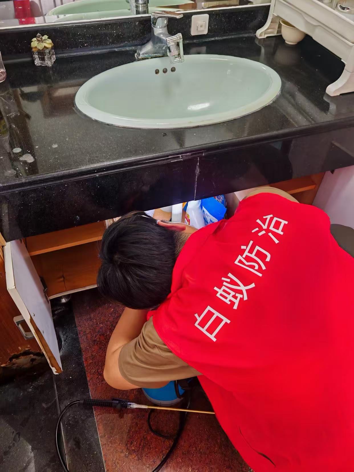 什么中药能杀灭白蚁：探索传统智慧与现代应用