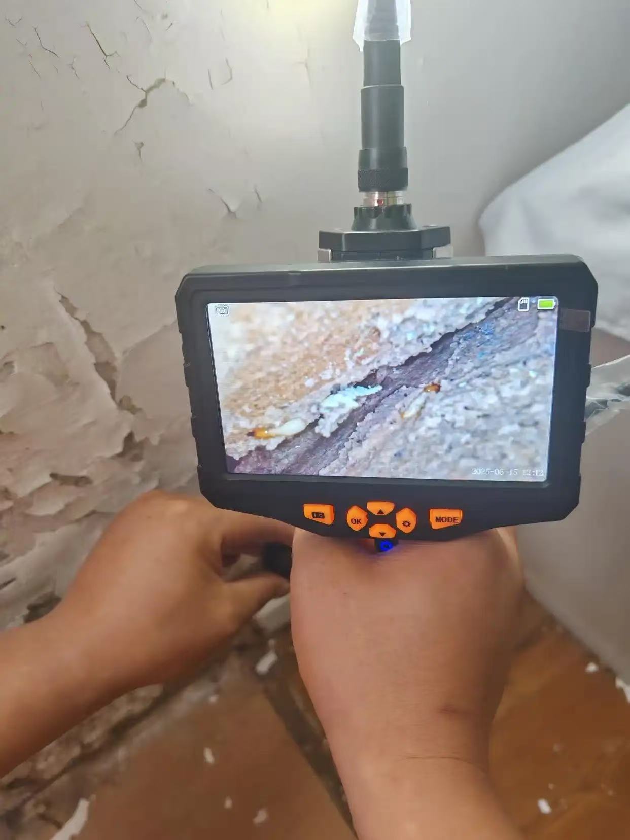 杭州市白蚁防治站：单位工厂除白蚁收费标准详解：如何合理选择与预算控制