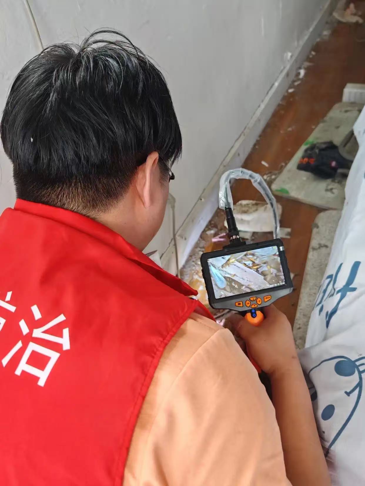 旧房处理白蚁的方法：全面指南与实用技巧