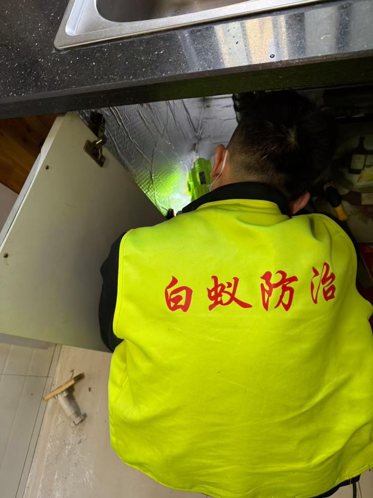 杭州市白蚁防治站：惠安白蚁防治销售店：守护家园的绿色卫士