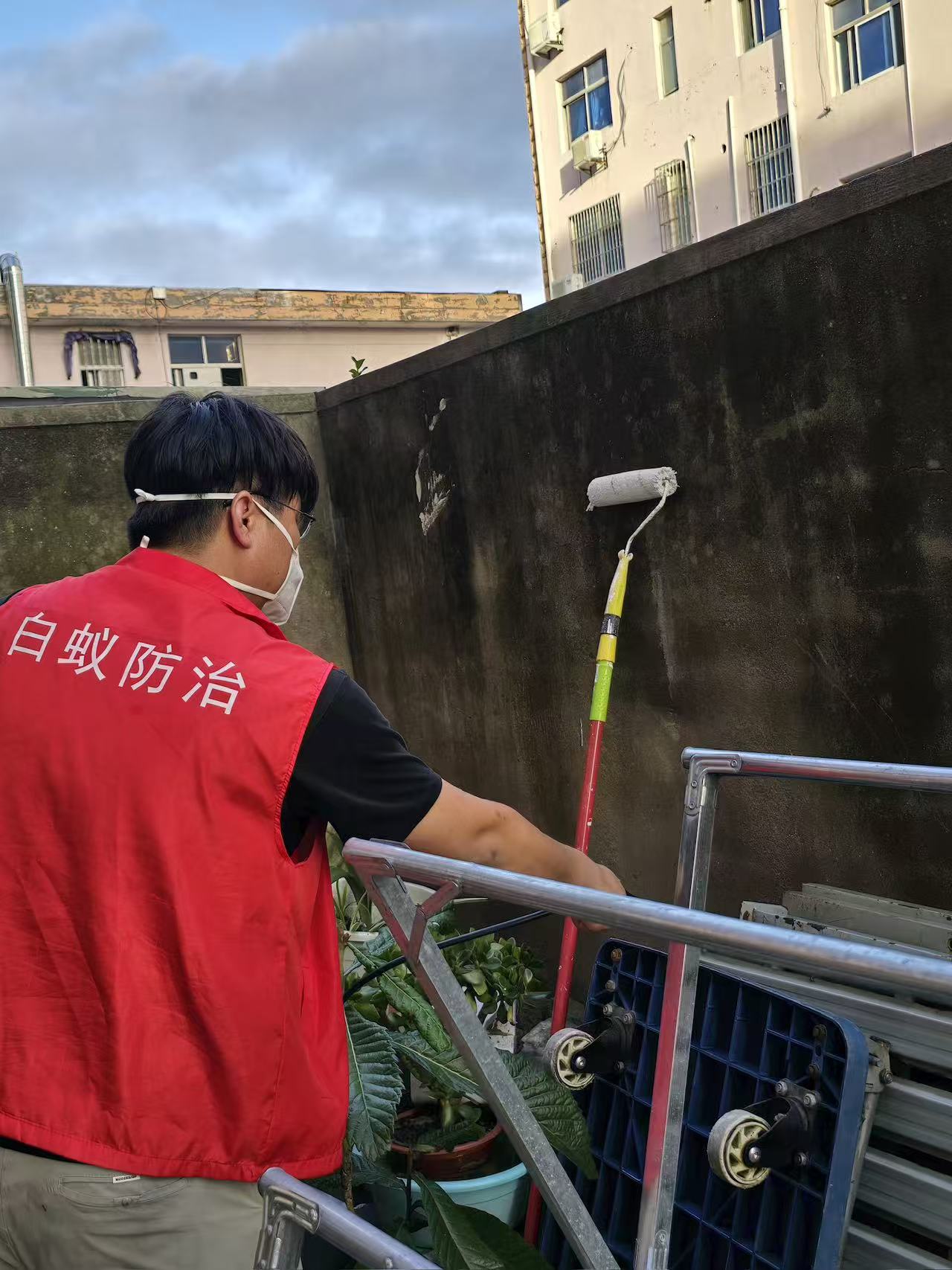 防止白蚁的药在哪买？全面指南助您轻松应对白蚁威胁