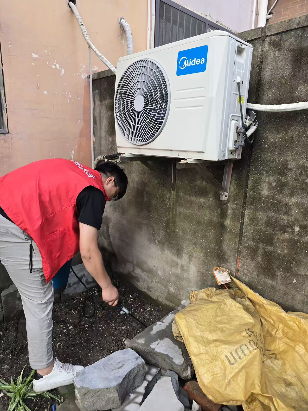 白蚁如何种鸡枞菌：自然界的共生奇迹