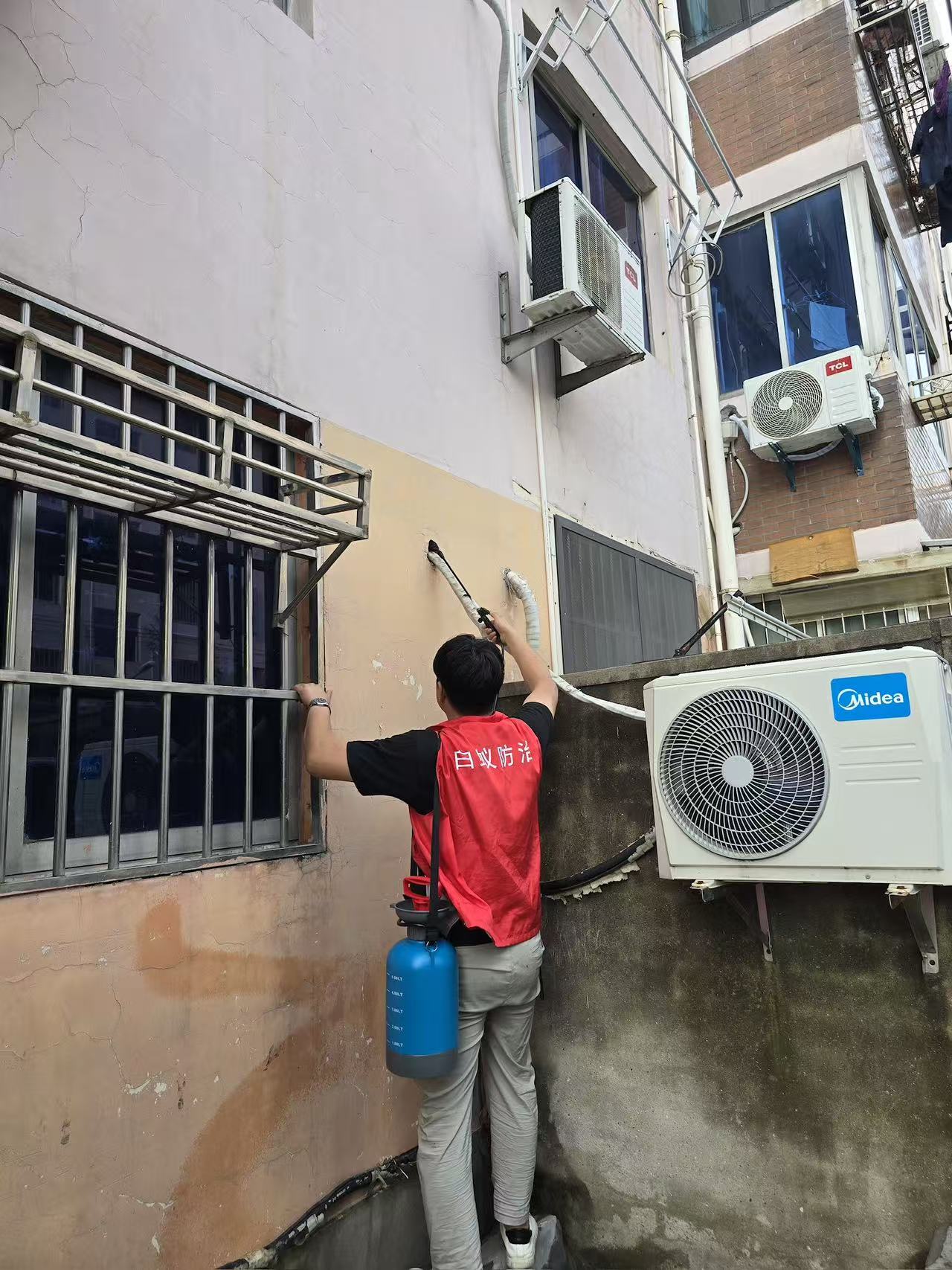 杭州市白蚁防治站：家里为啥长白蚁呢？揭秘白蚁入侵的根源与防治之道