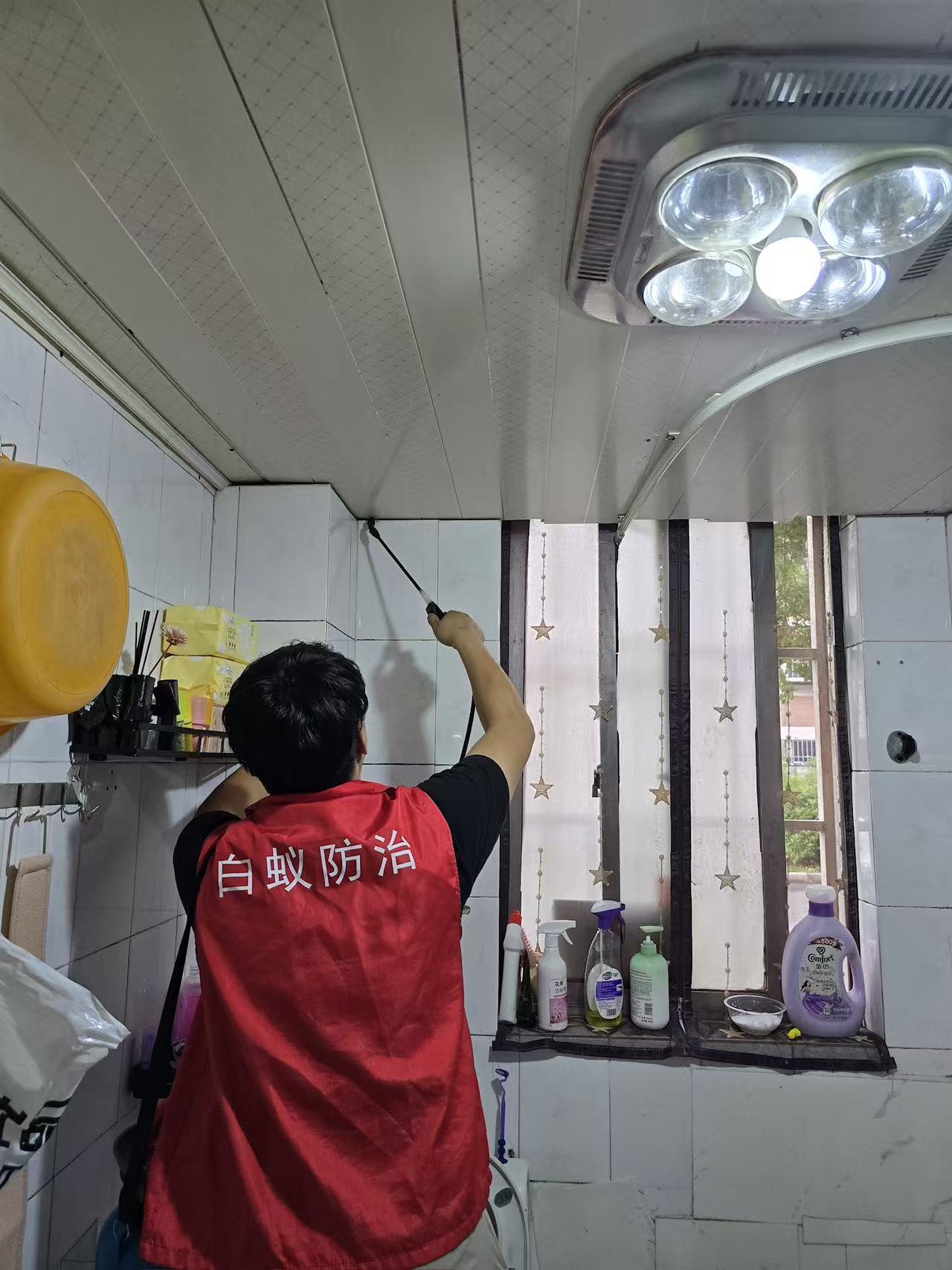 杭州市白蚁防治站：房子会有白蚁吗怎么处理：全面解析与防治指南