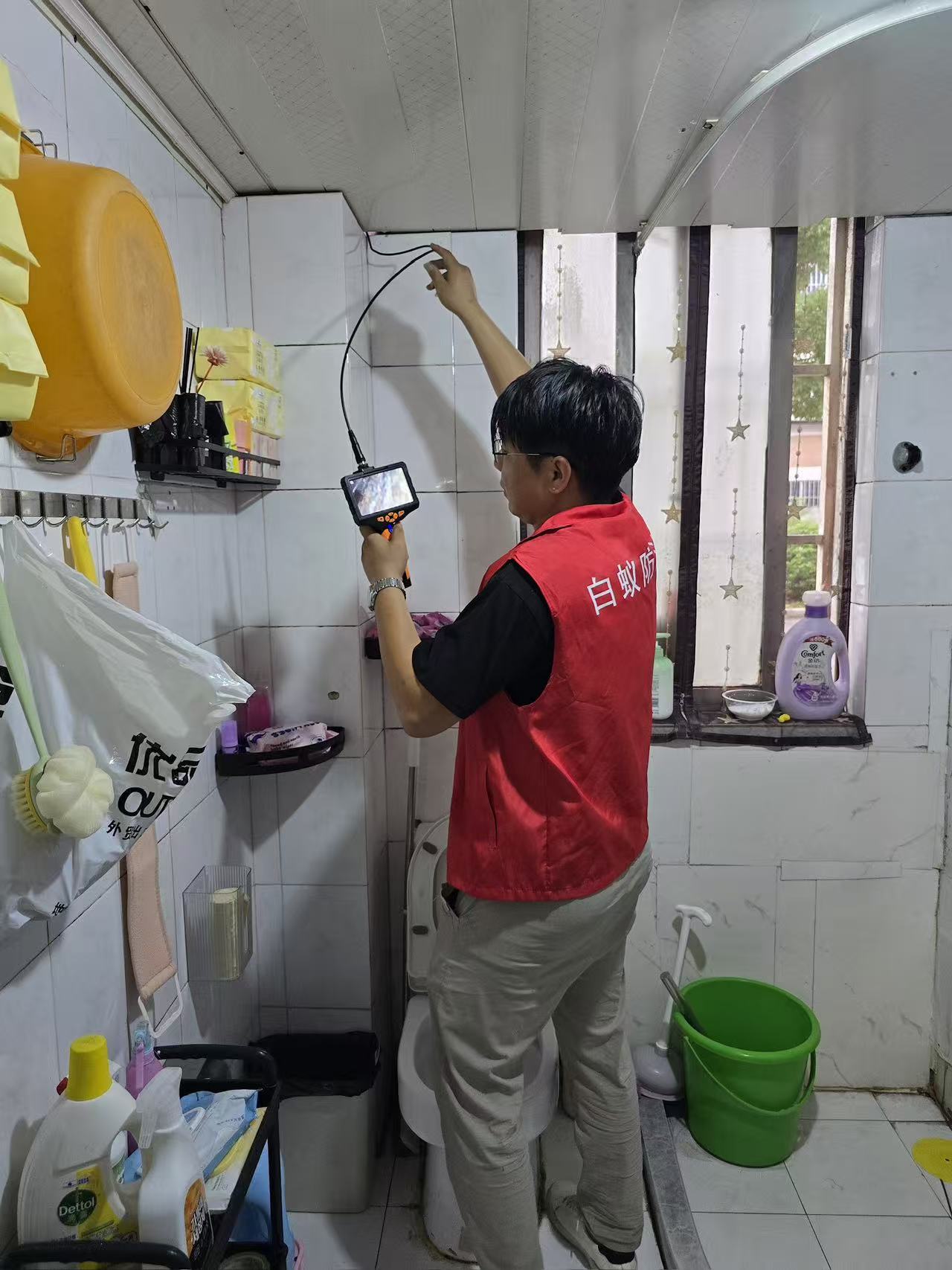 凤凰古城房子白蚁事件：历史瑰宝的隐秘危机