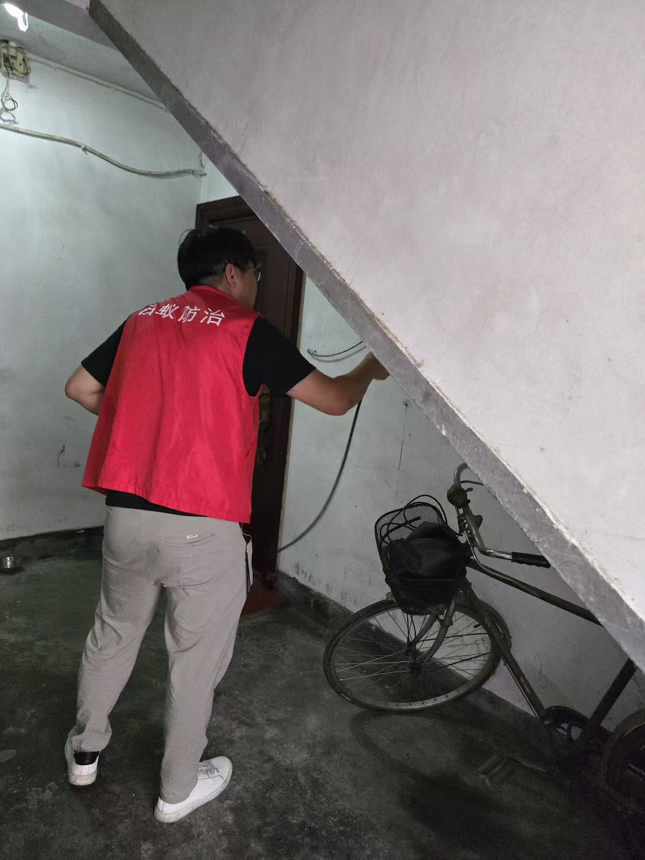 苗围白蚁防治：守护绿色家园的生态防线