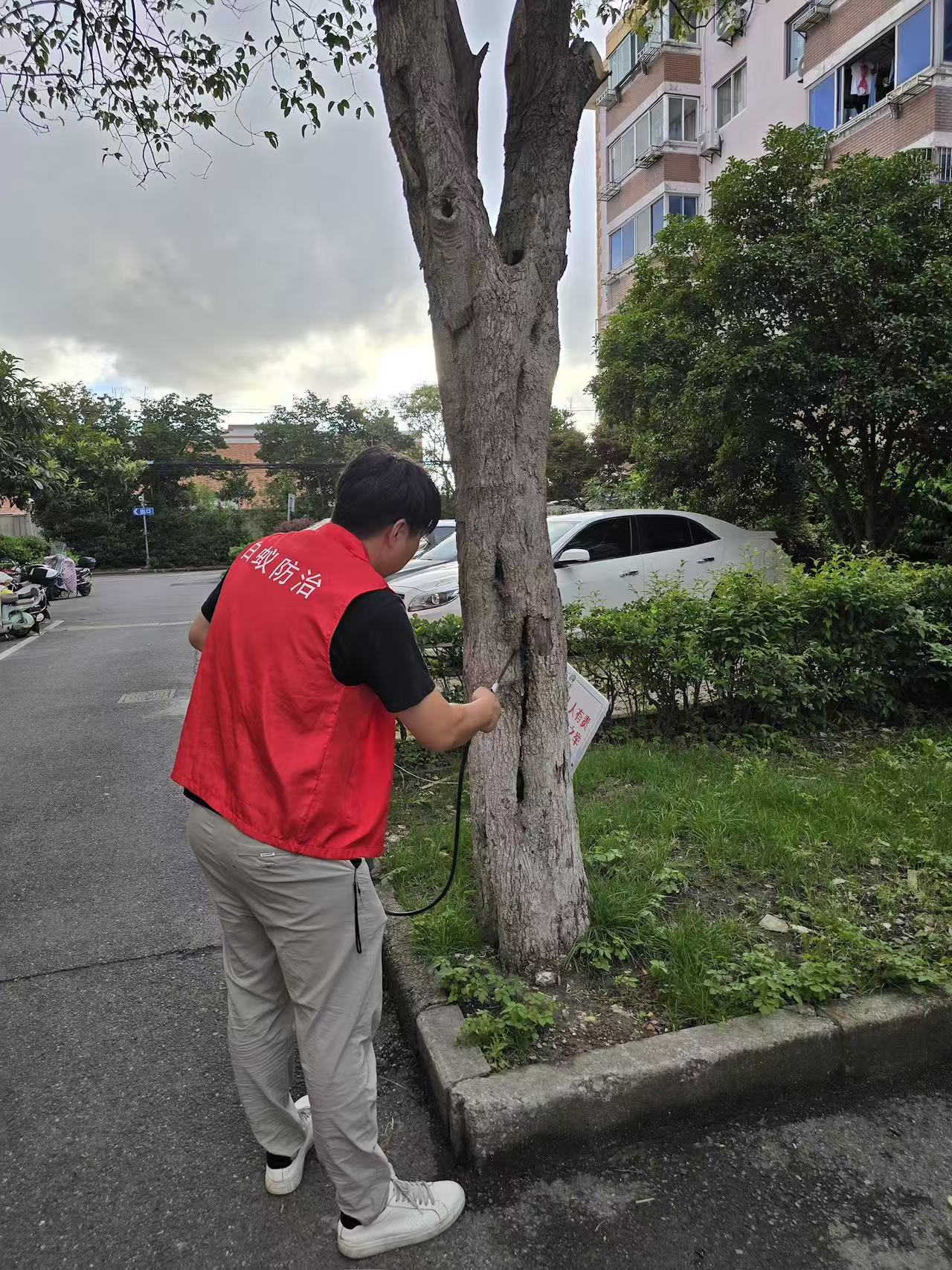 杭州市白蚁防治站：白蚁啃家具多久：揭秘白蚁侵蚀家具的时间与防治策略