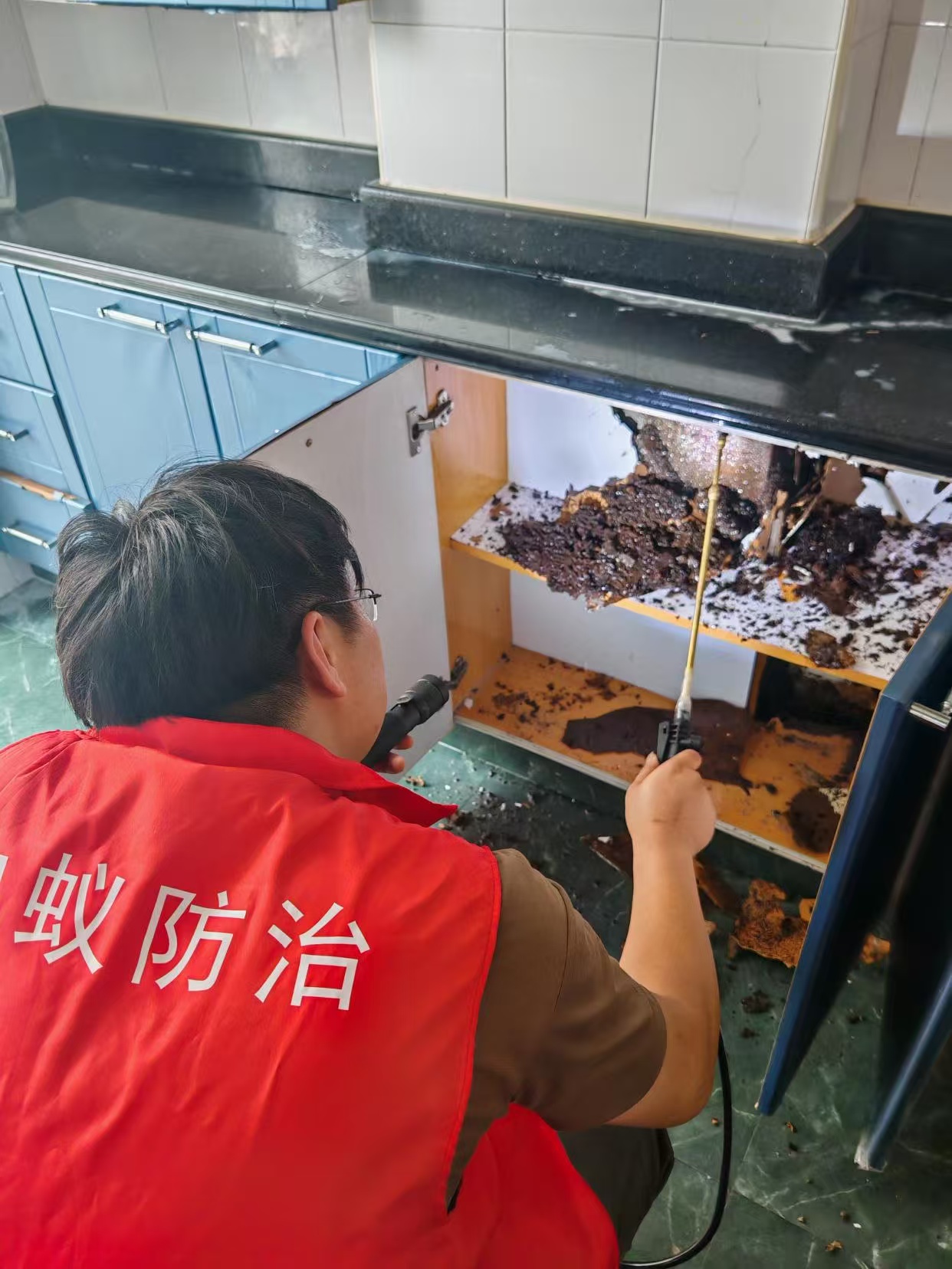 怎么灭白蚁用什么药：全面指南助您有效防治白蚁