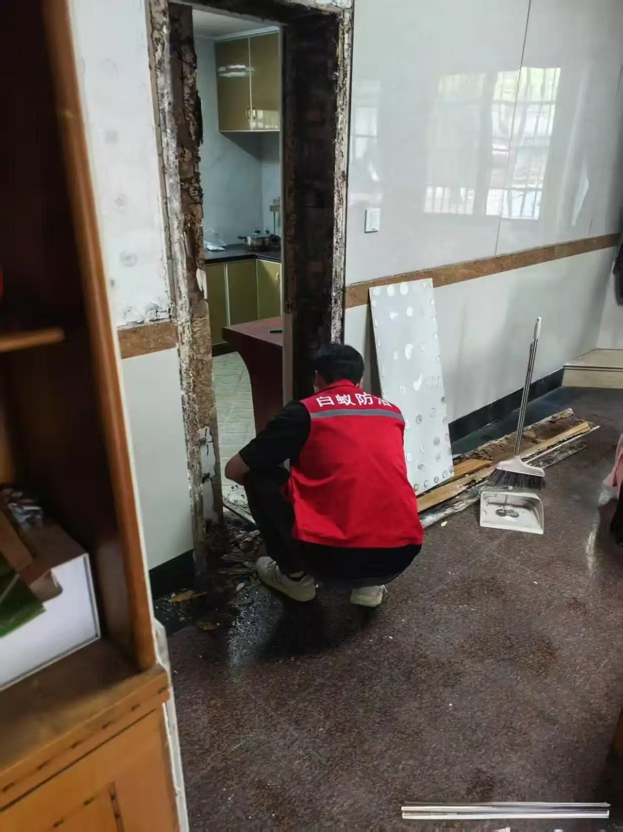 白蚁防治所收费标准国家政策解析与实施指南